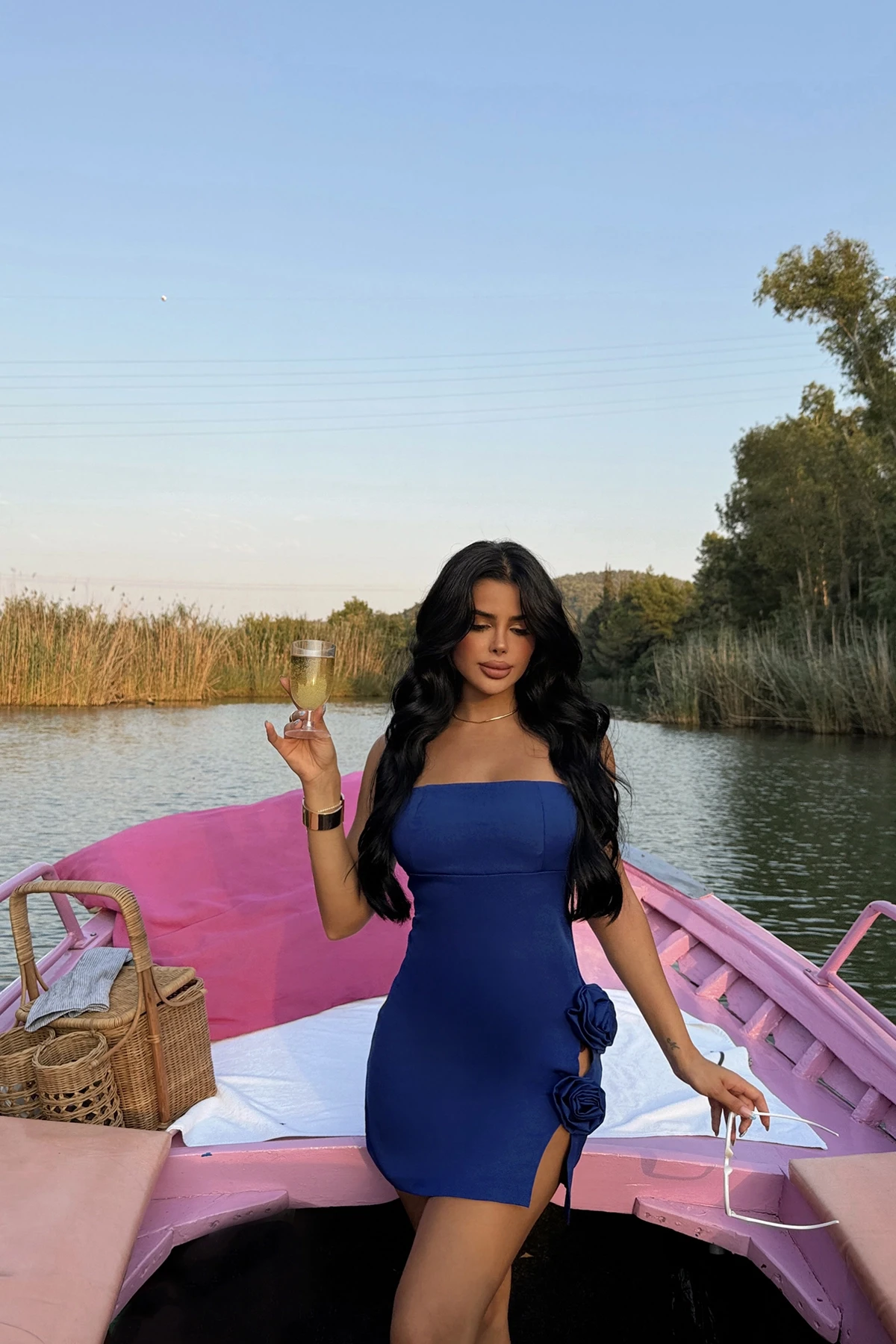 Picture of Saks Rose Detail Mini Dress