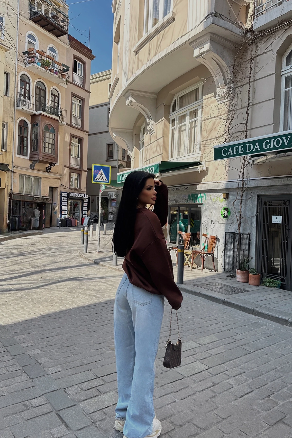 Picture of Brown A Embroidered Sweat