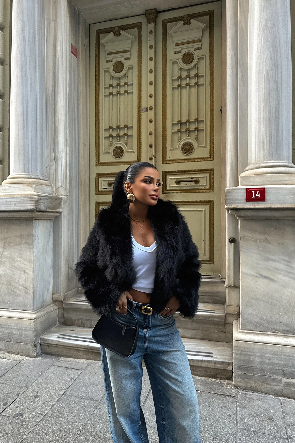 Picture of Black Short Fur