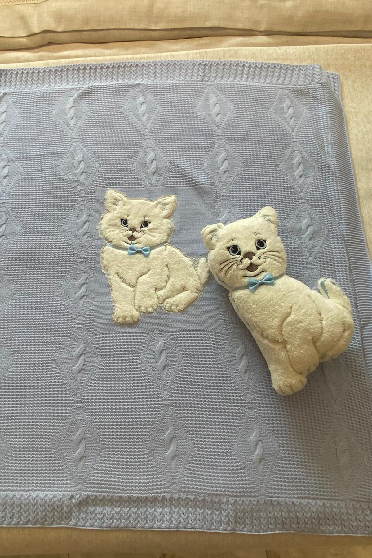 Picture of Oyuncak Hediyeli Bebek Triko Battaniye 90x90 Cm Mavi