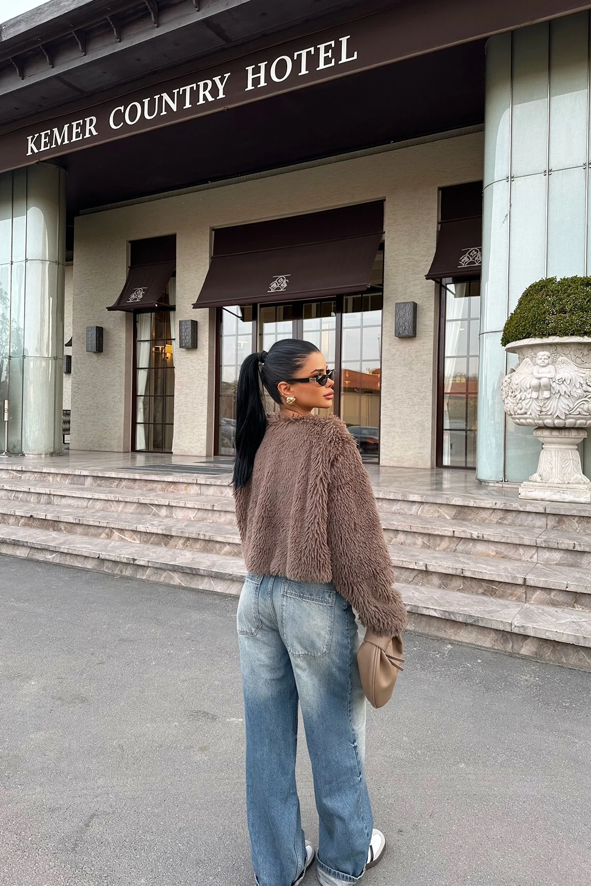 Picture of Brown Ruby Short Fur