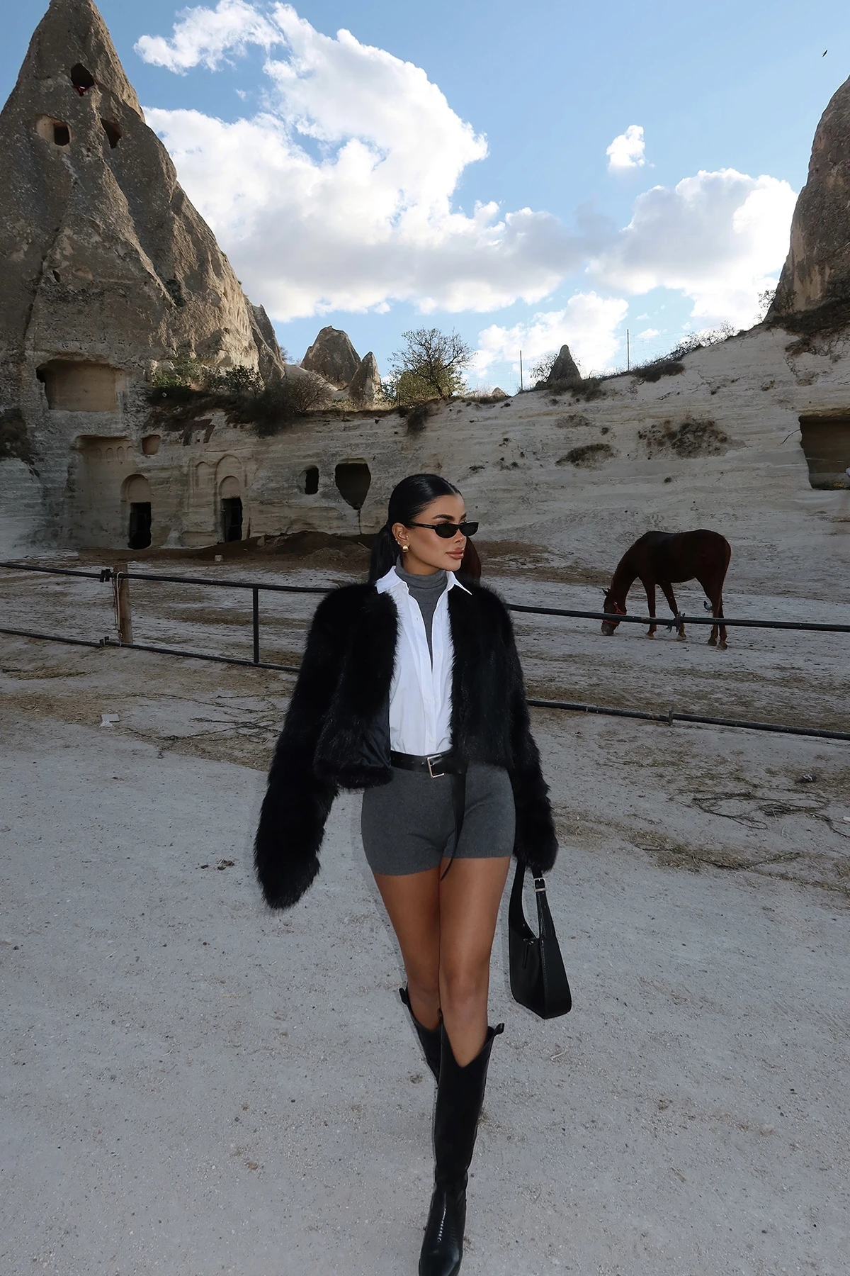 Picture of Black Short Fur