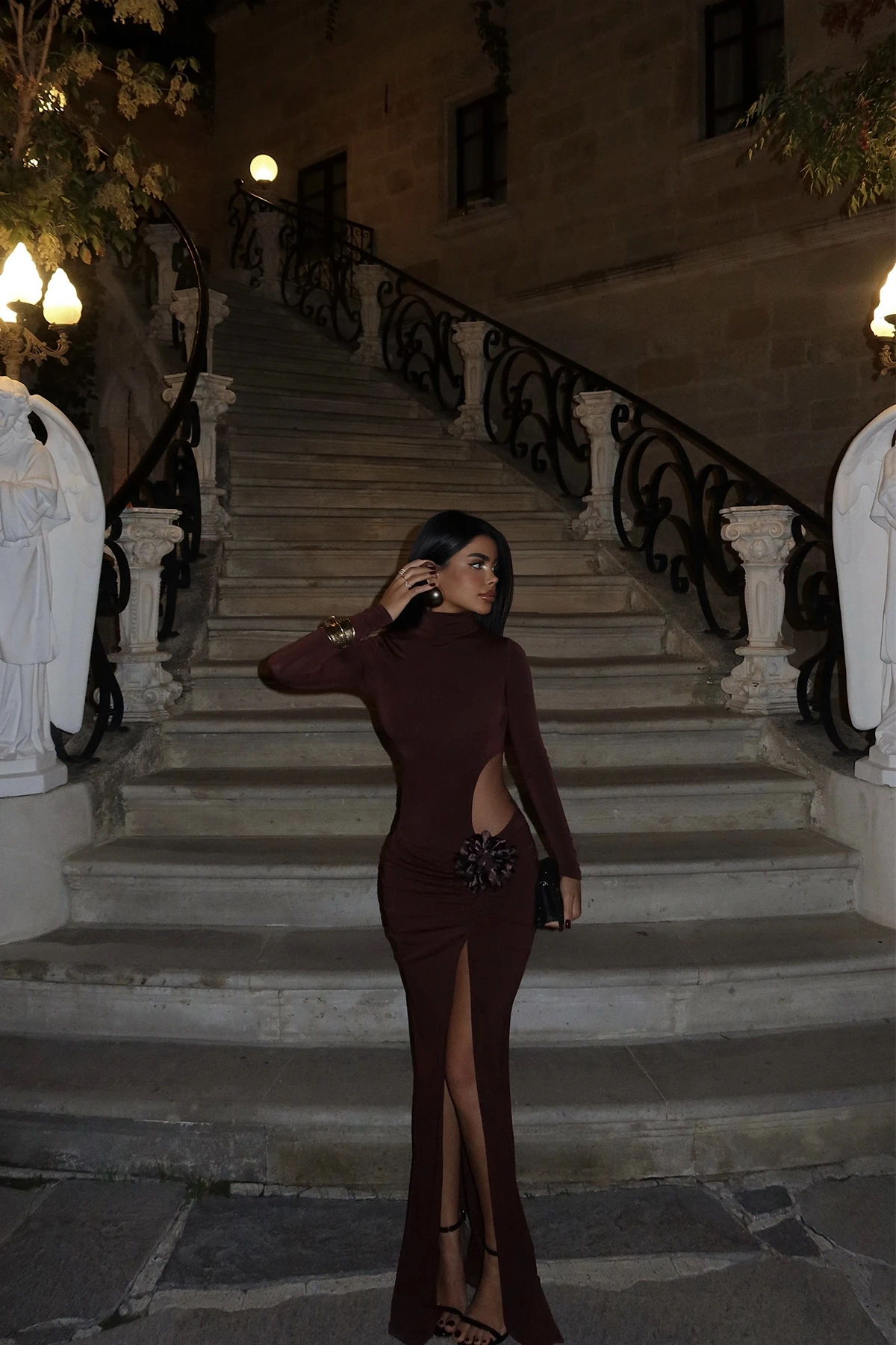 Picture of Brown Rose Detail Long Dress