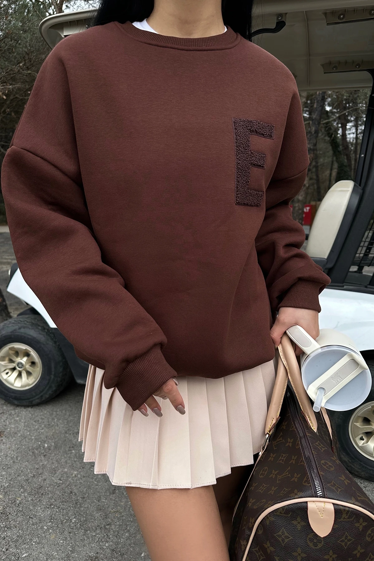 Picture of Brown E Embroidered Sweat