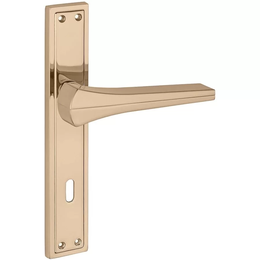 Picture of Z2023 Aynalı Kapı Kolu