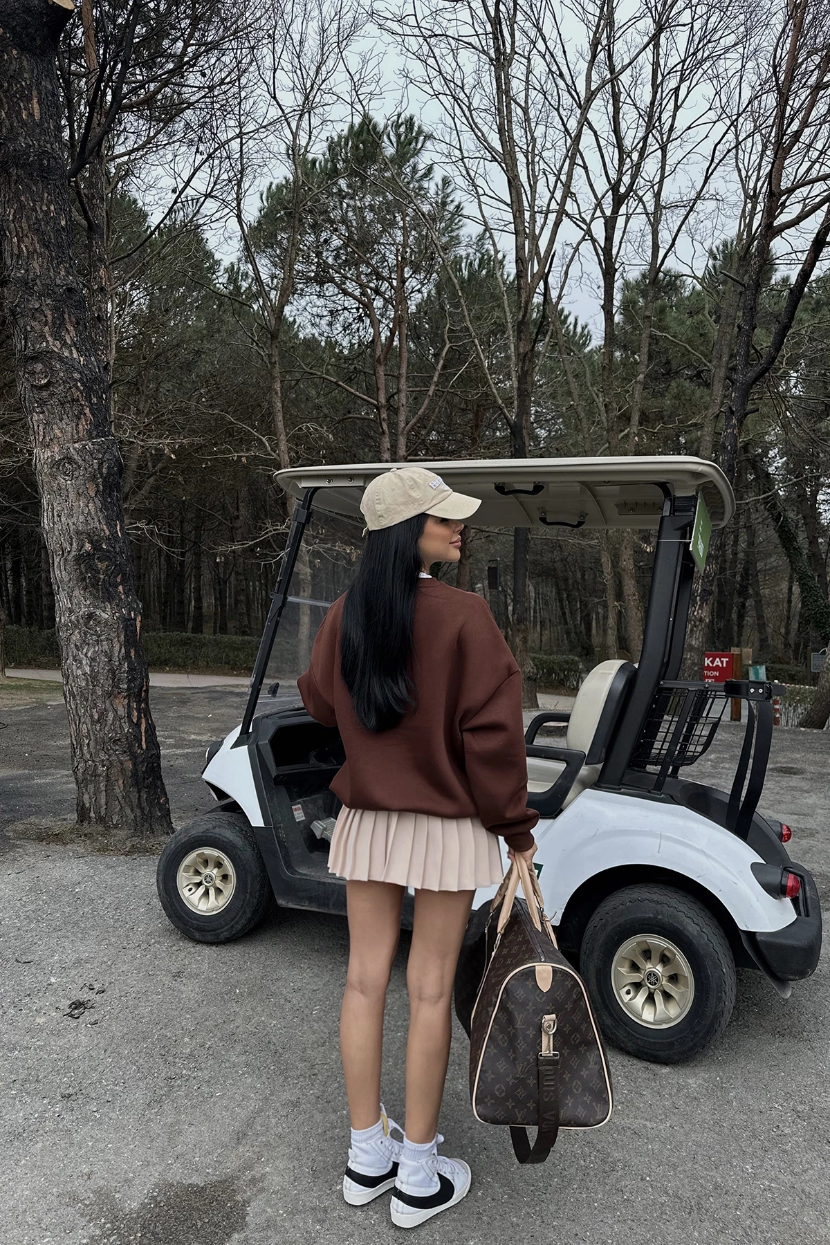 Picture of Brown E Embroidered Sweat