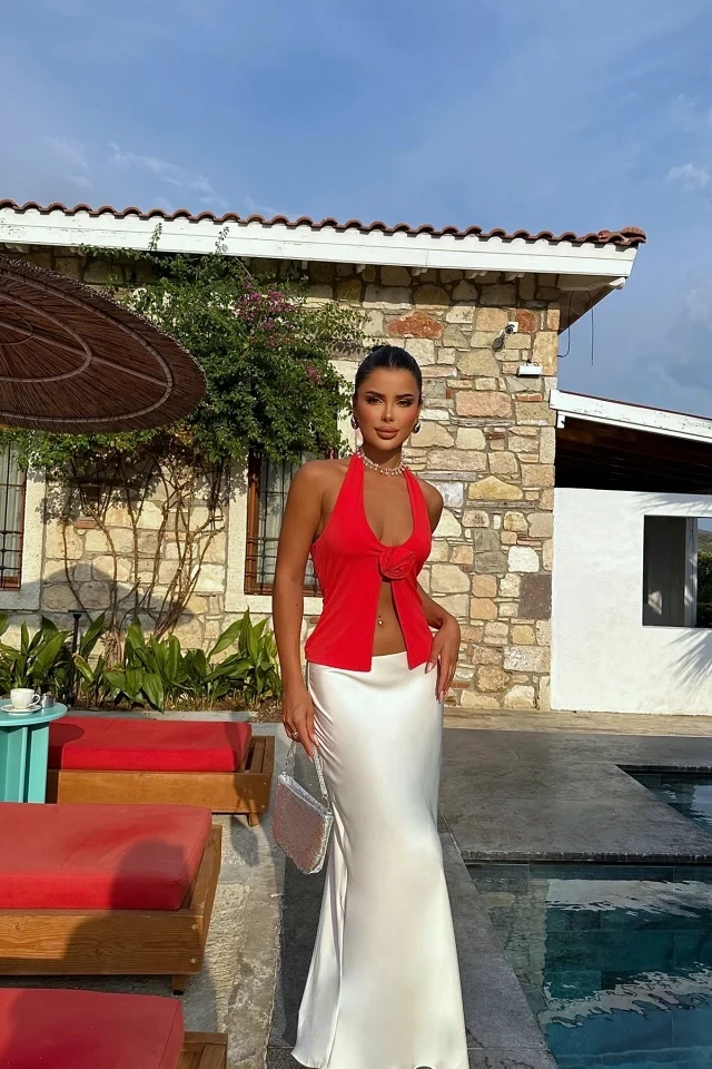 Picture of Red Rose Detail Crop Top