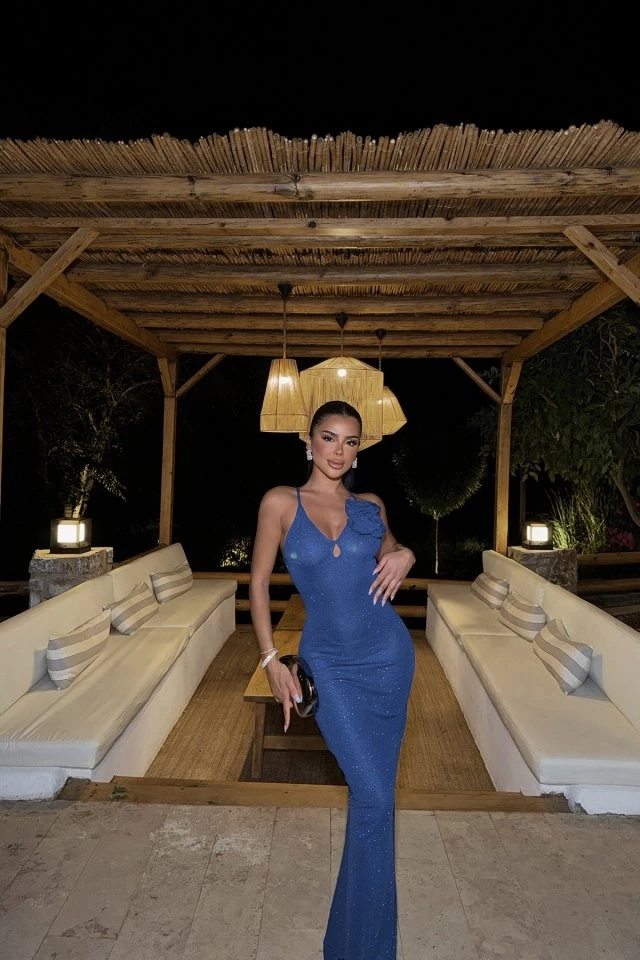 Picture of Navy Blue Rose Detail Dress