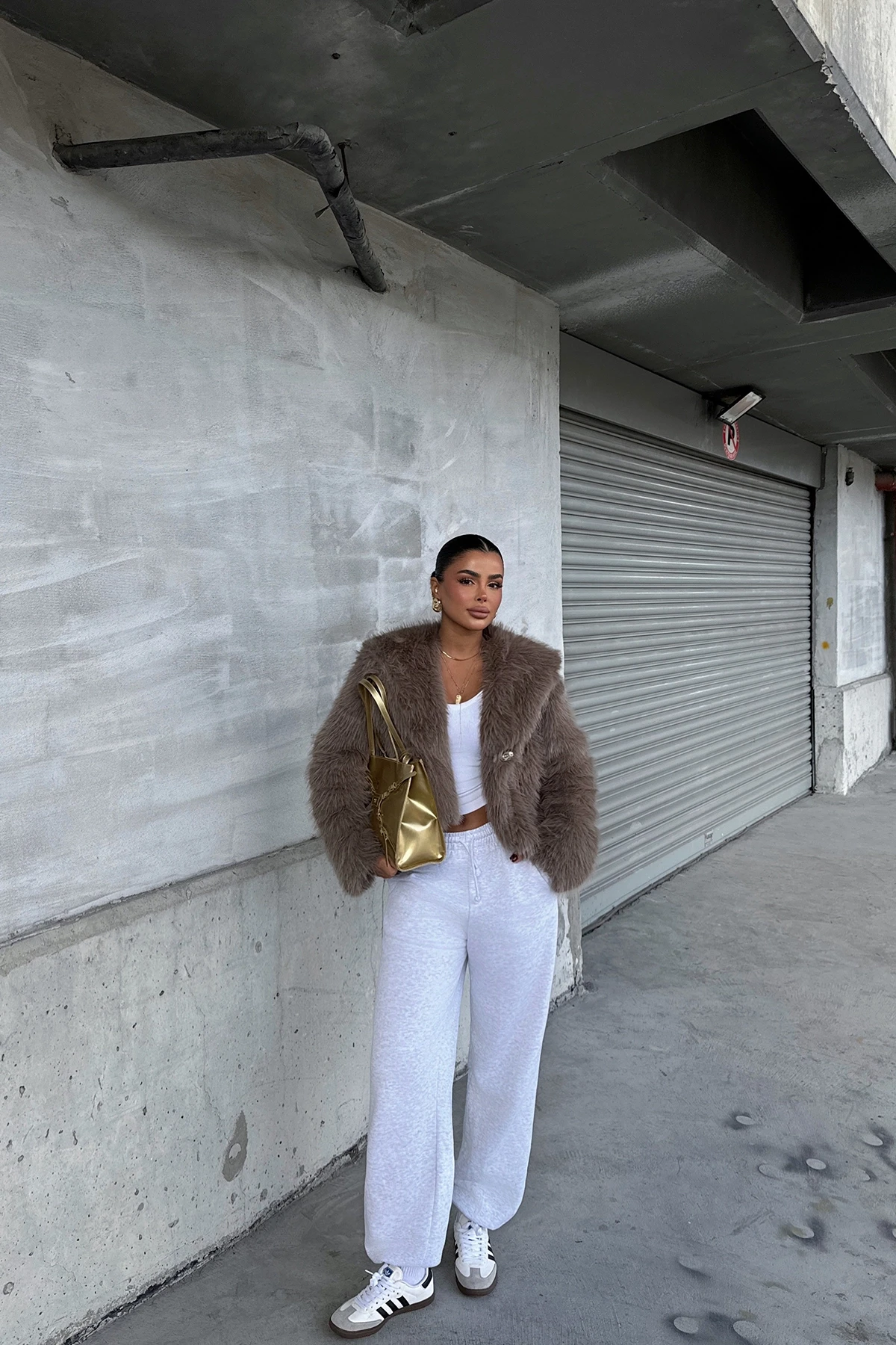 Picture of Brown Vania Hooded Fur