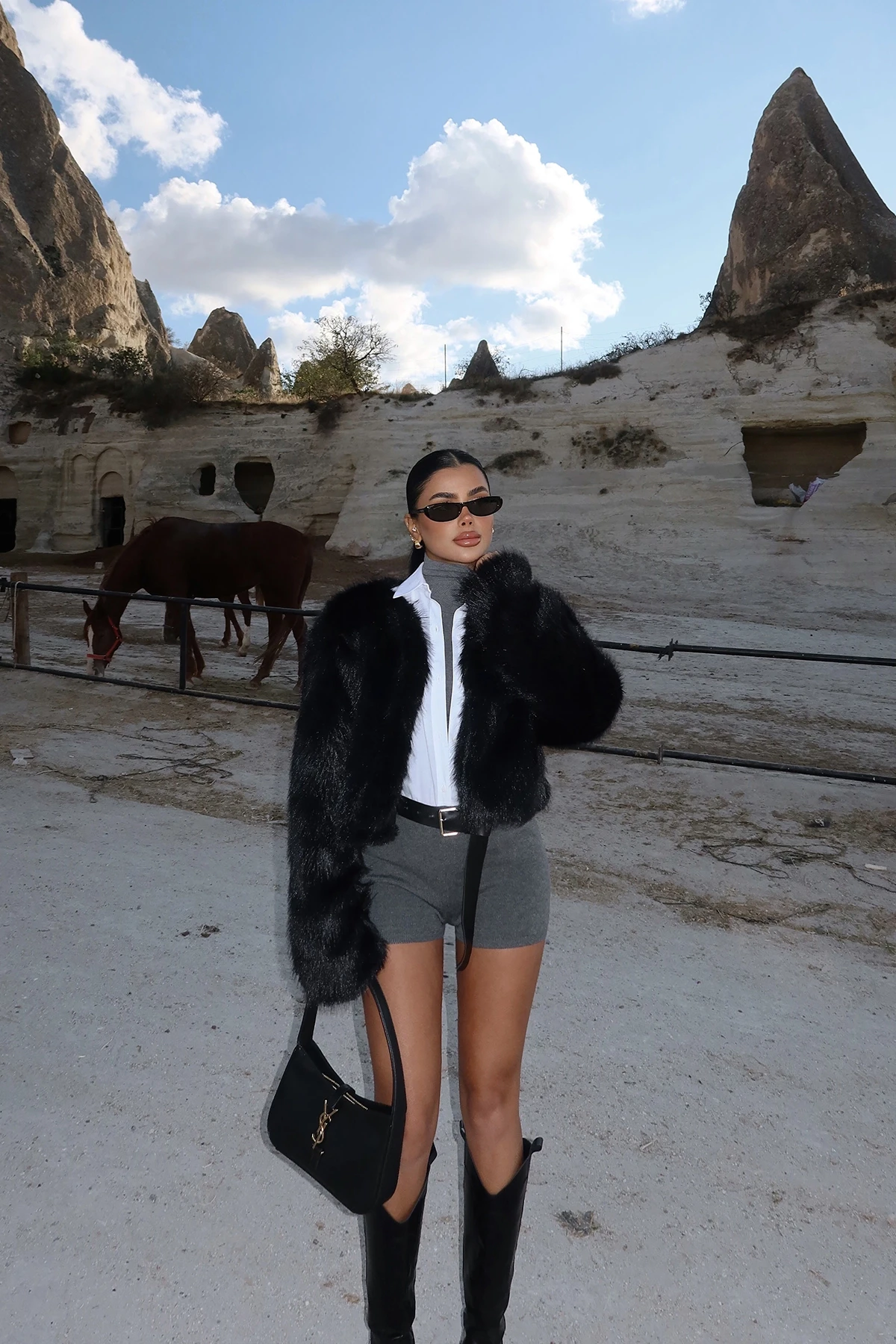 Picture of Black Short Fur