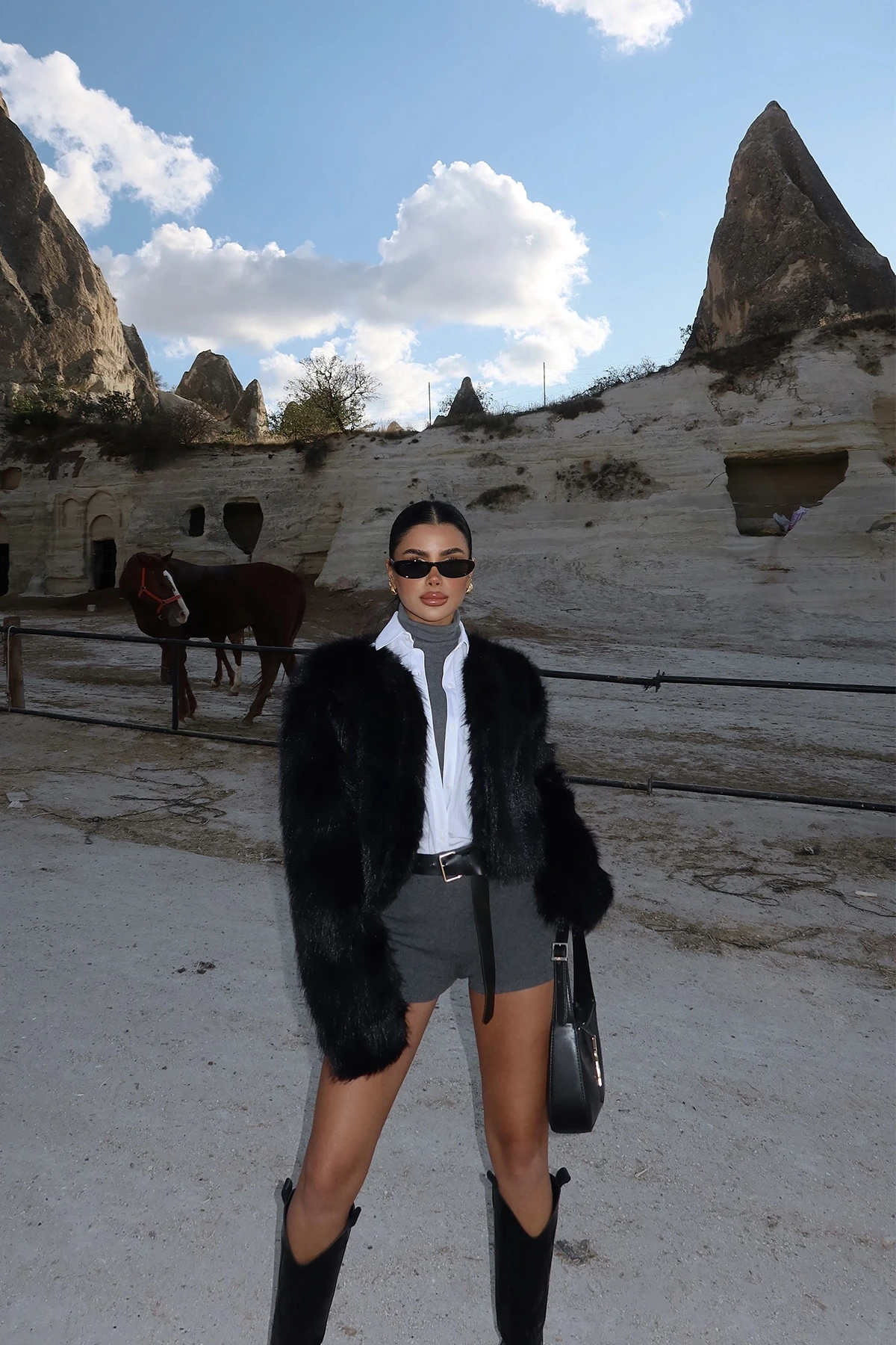 Picture of Black Short Fur