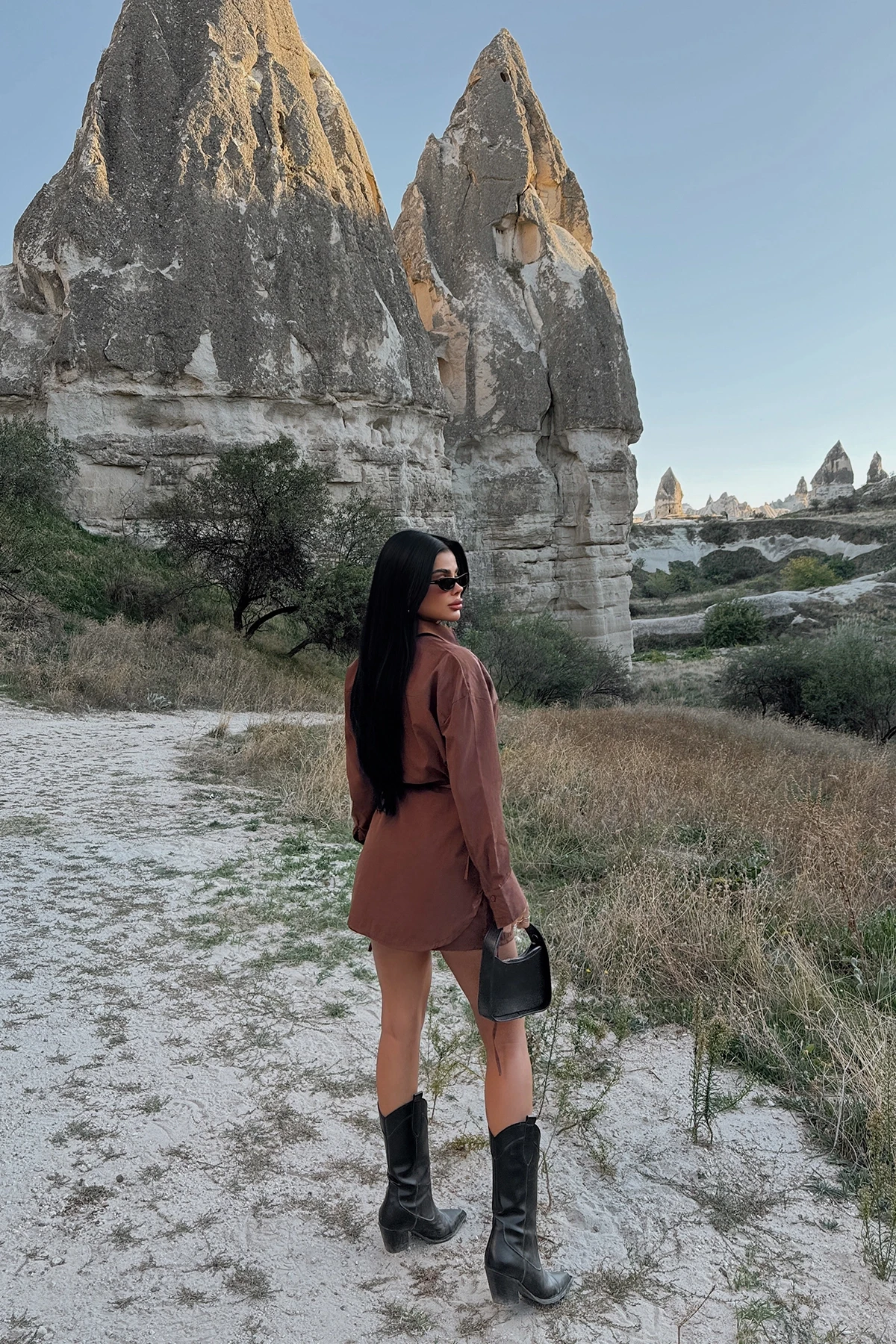 Picture of Brown Skirt Suit