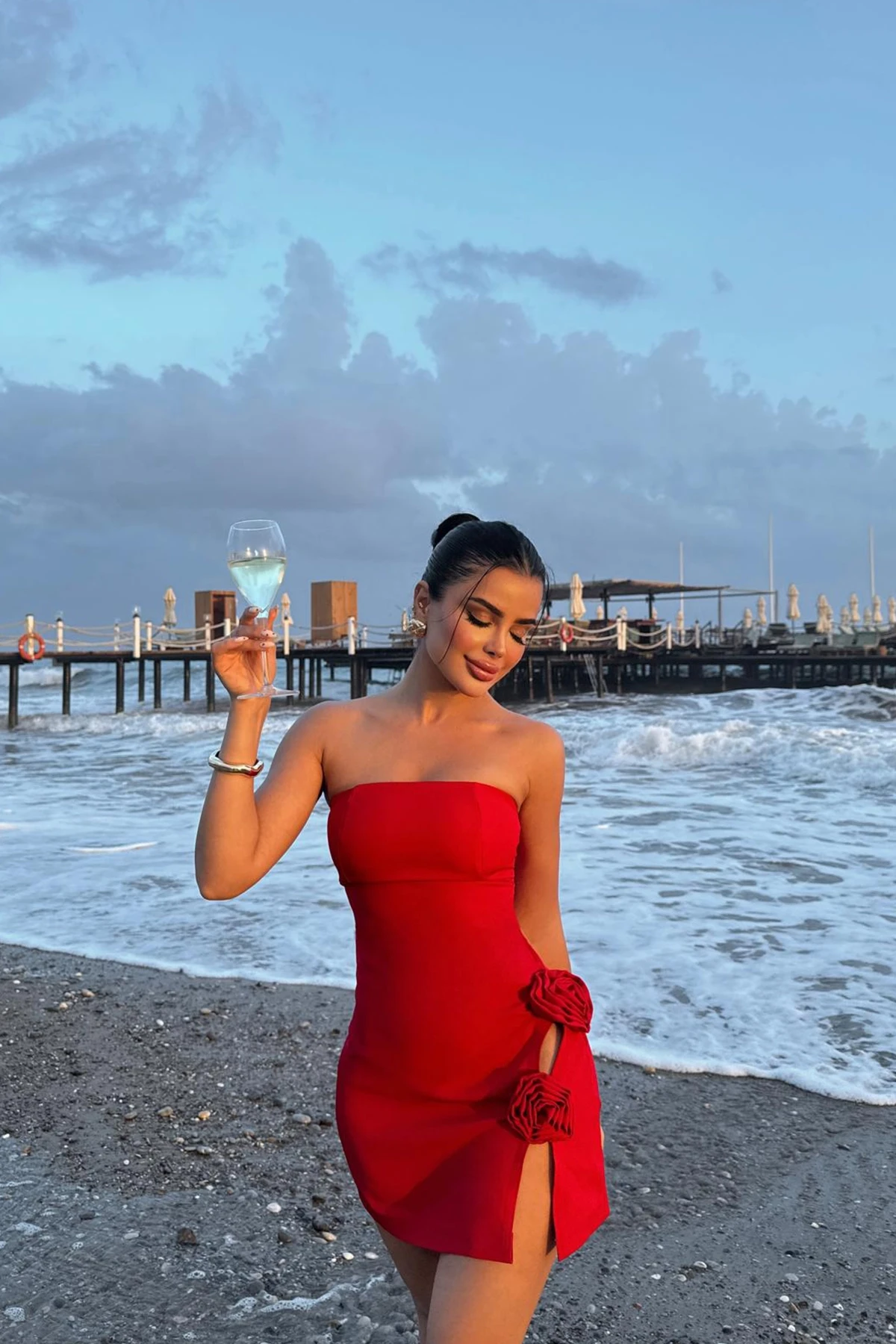 Picture of Red Rose Detail Mini Dress