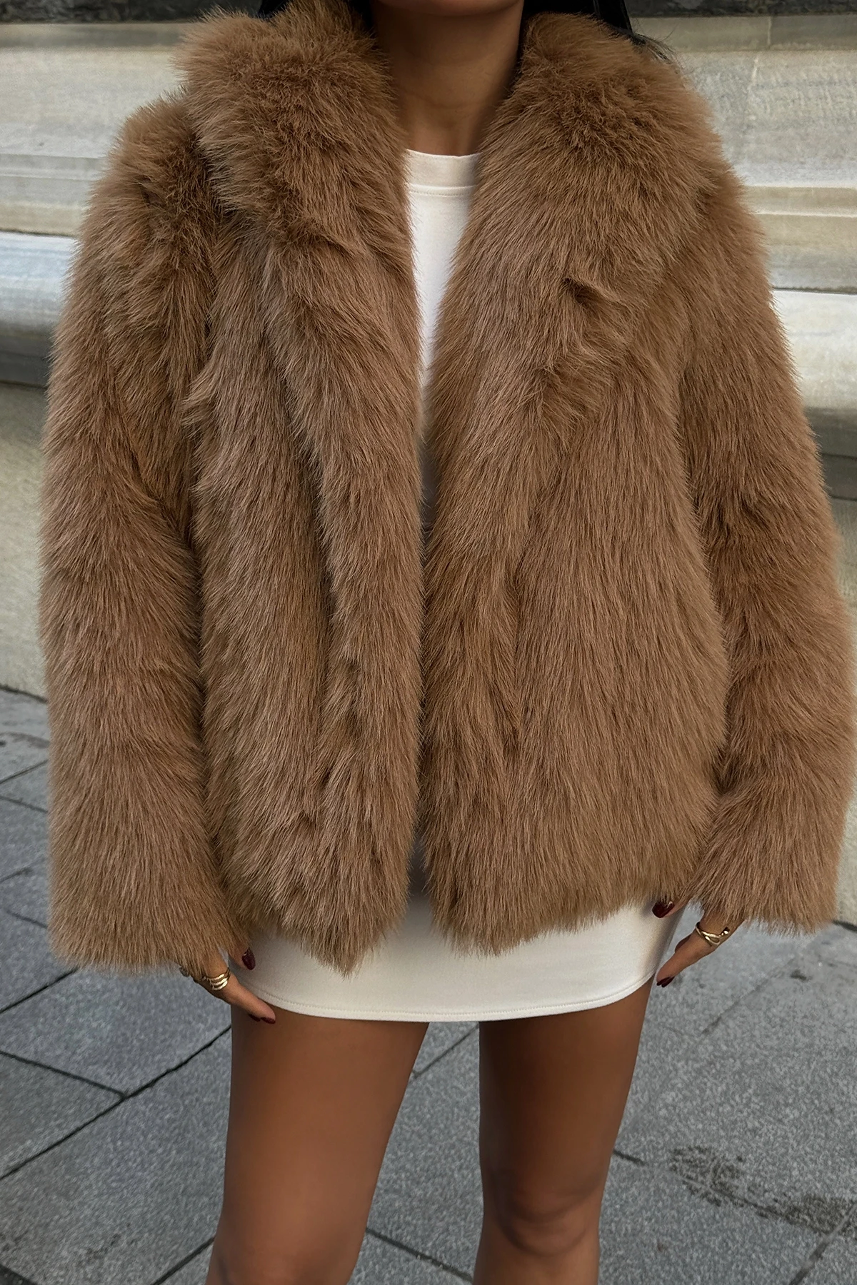 Picture of Tan Short Fur