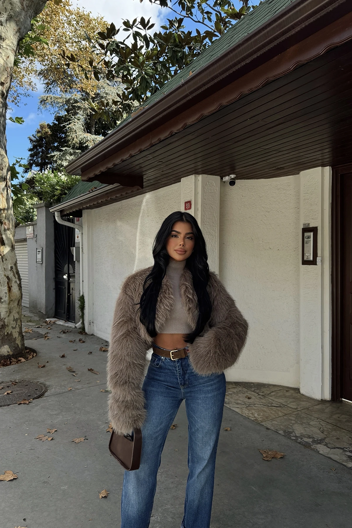 Picture of Mink Short Fur