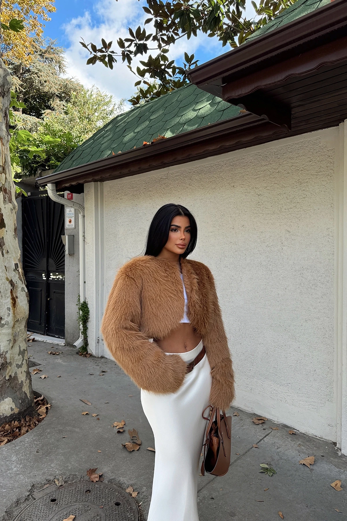 Picture of Tan Short Fur