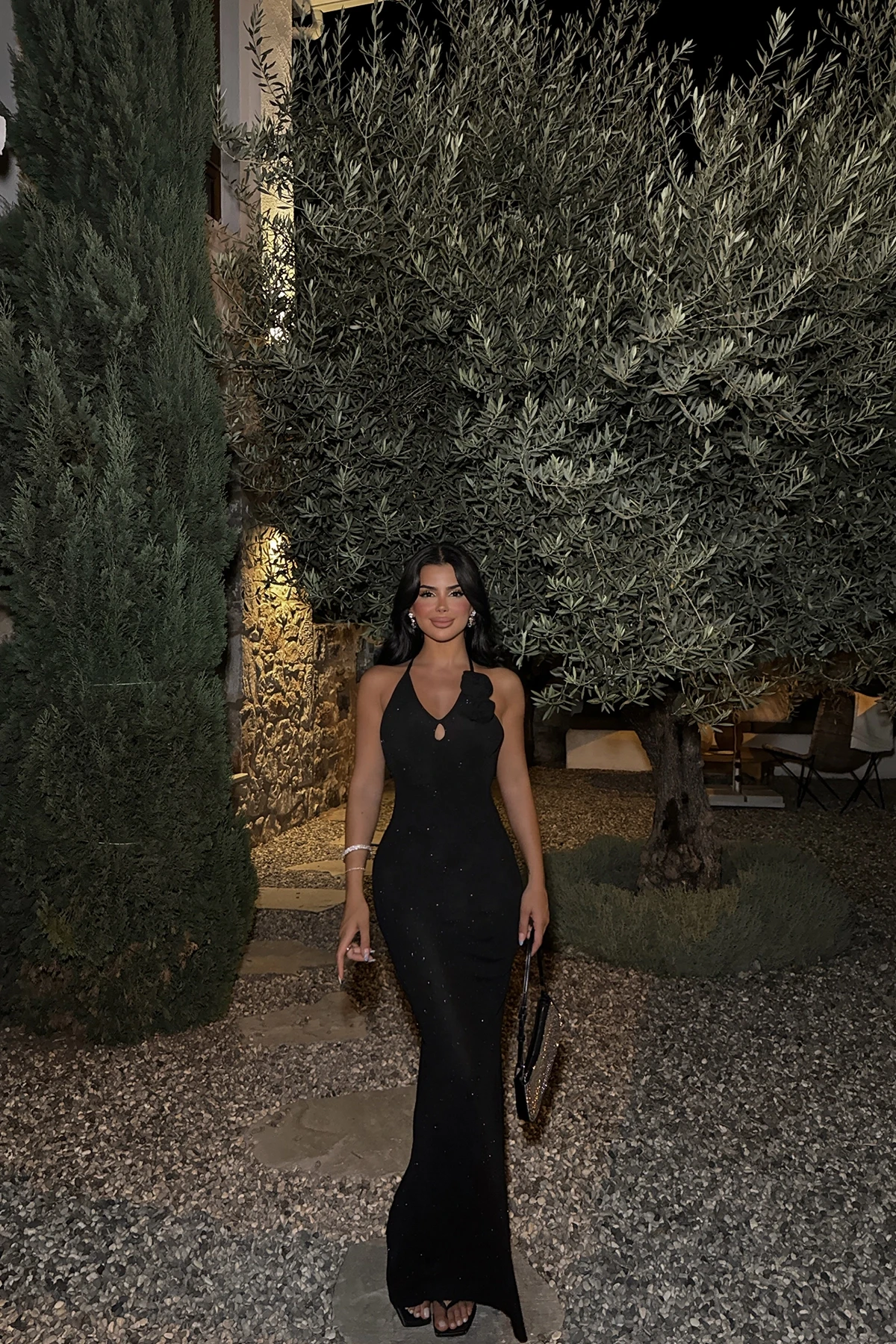 Picture of Black Rose Detailed Dress