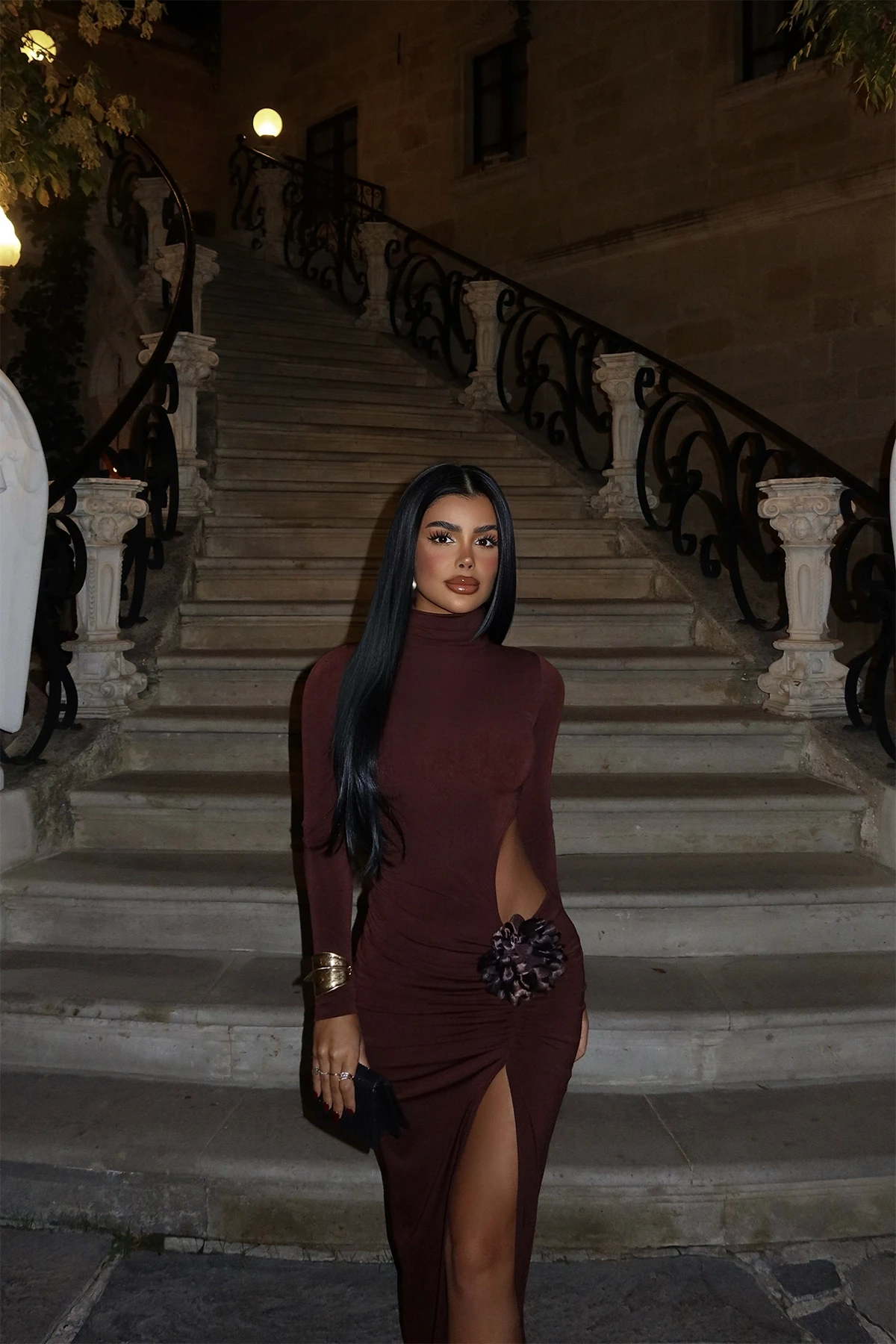 Picture of Brown Rose Detail Long Dress