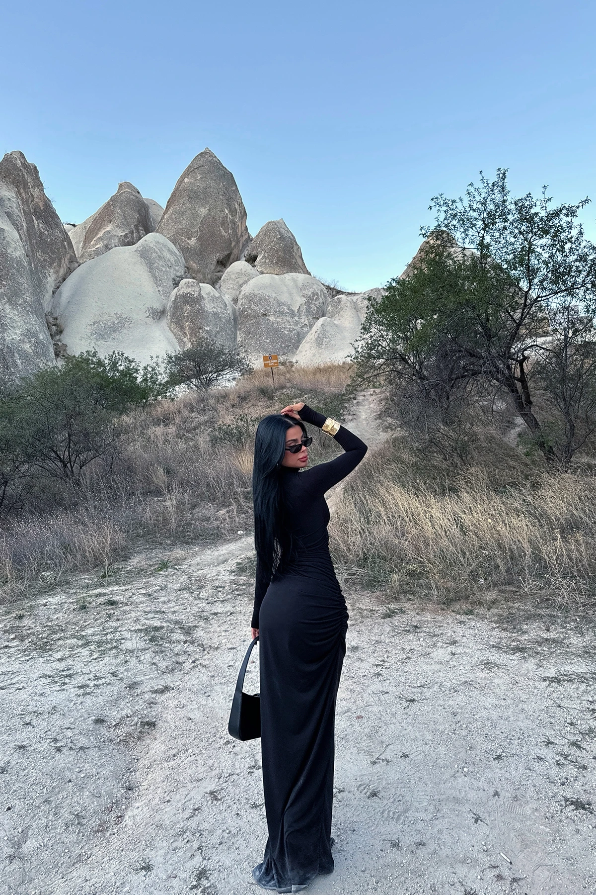 Picture of Black Long Sleeve Dress