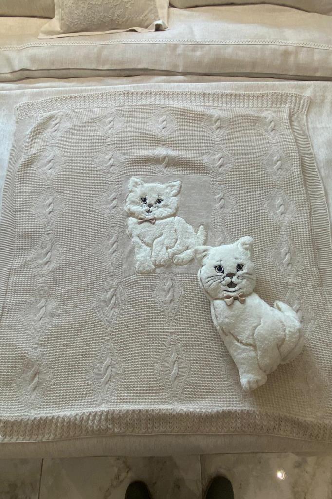 Picture of Oyuncak Hediyeli Bebek Triko Battaniye 90x90 Cm Bej