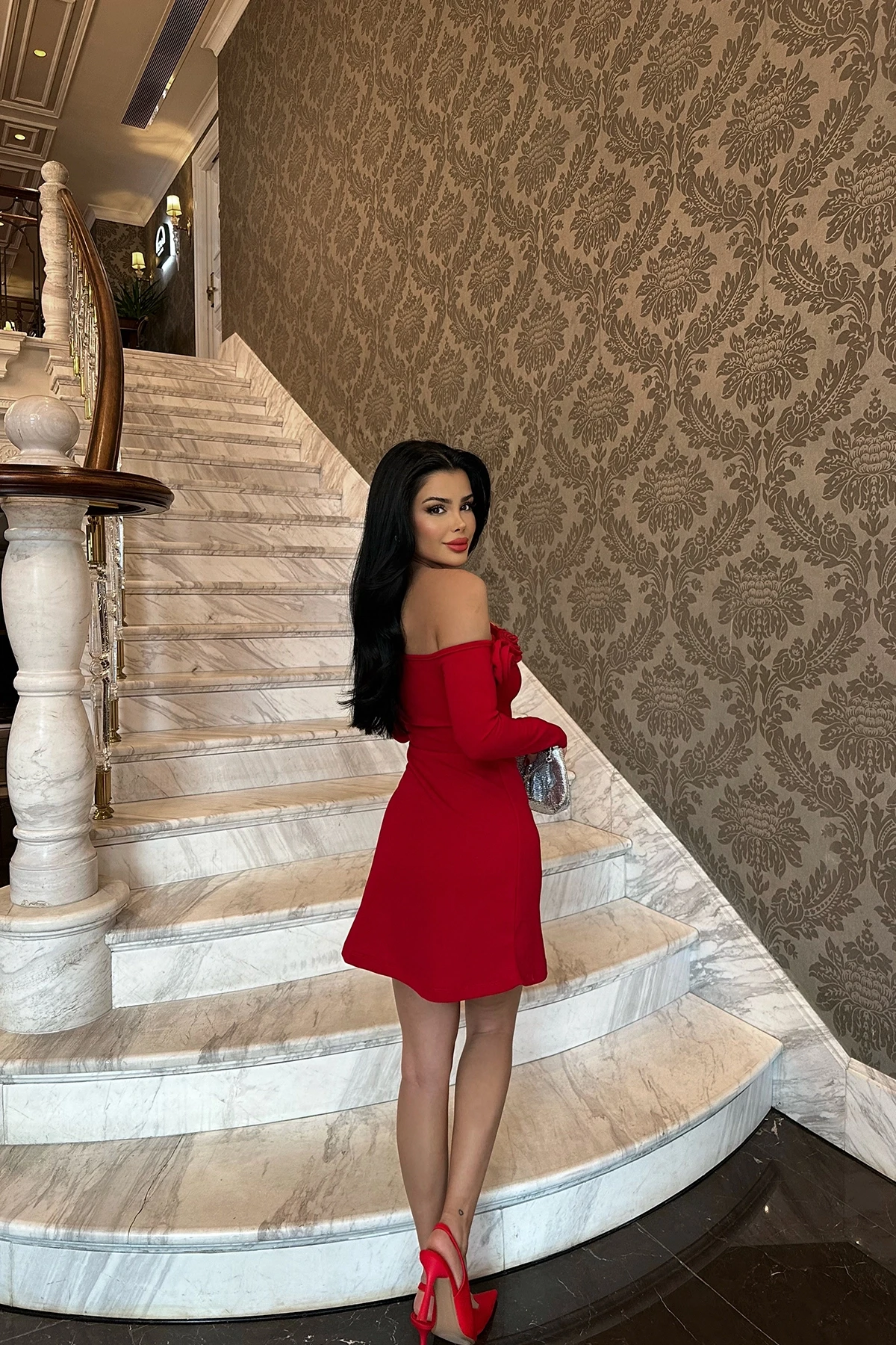Picture of Red Rose Mini Dress