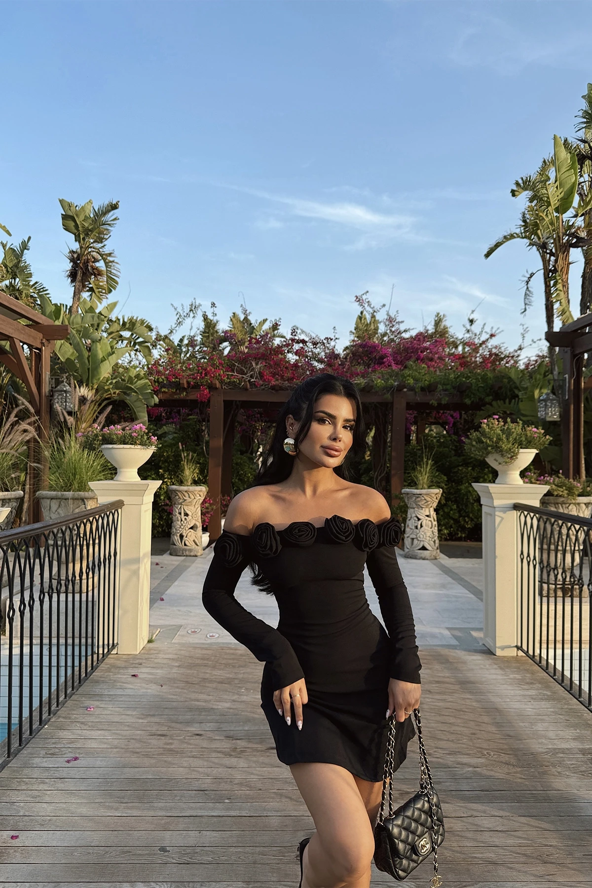 Picture of Black Rose Mini Dress