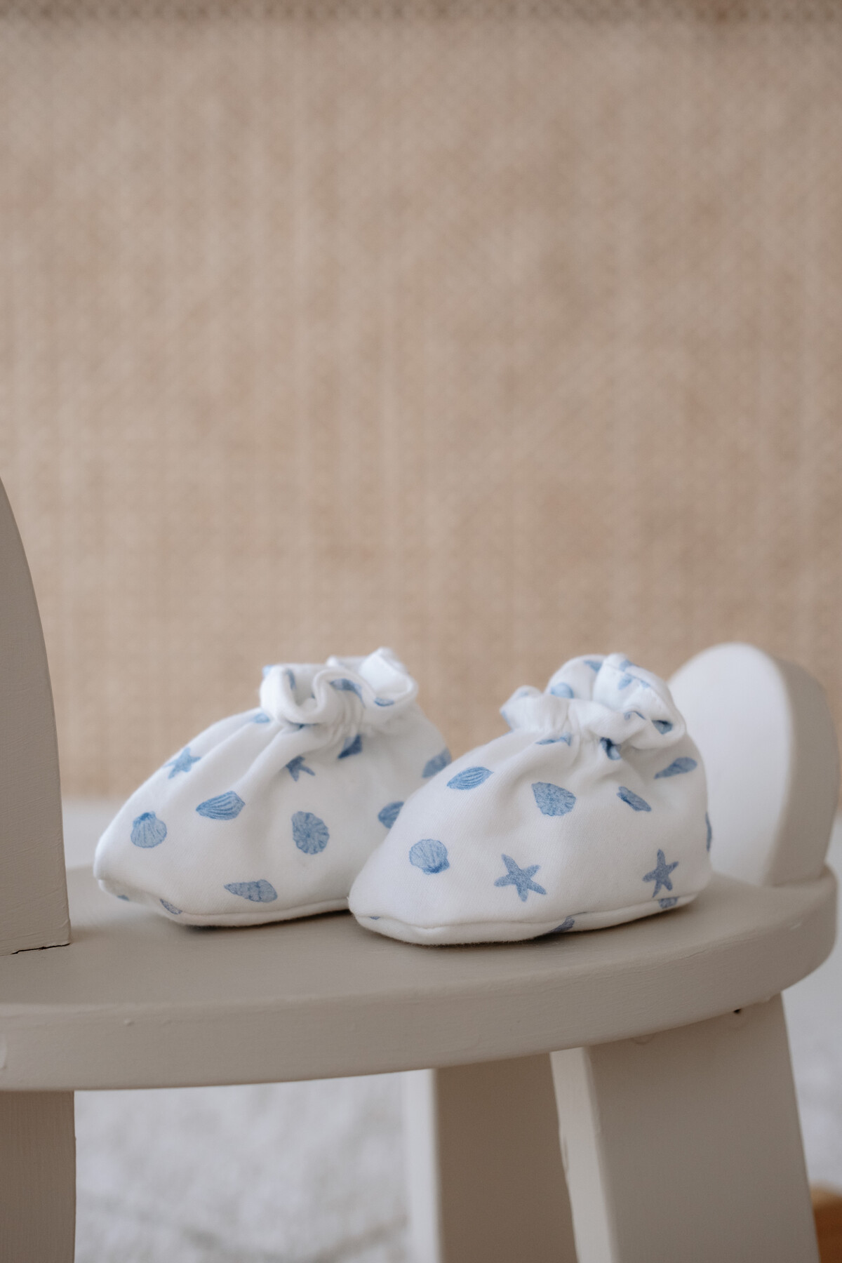 Picture of Bebek Patiği - Deniz Kabukları