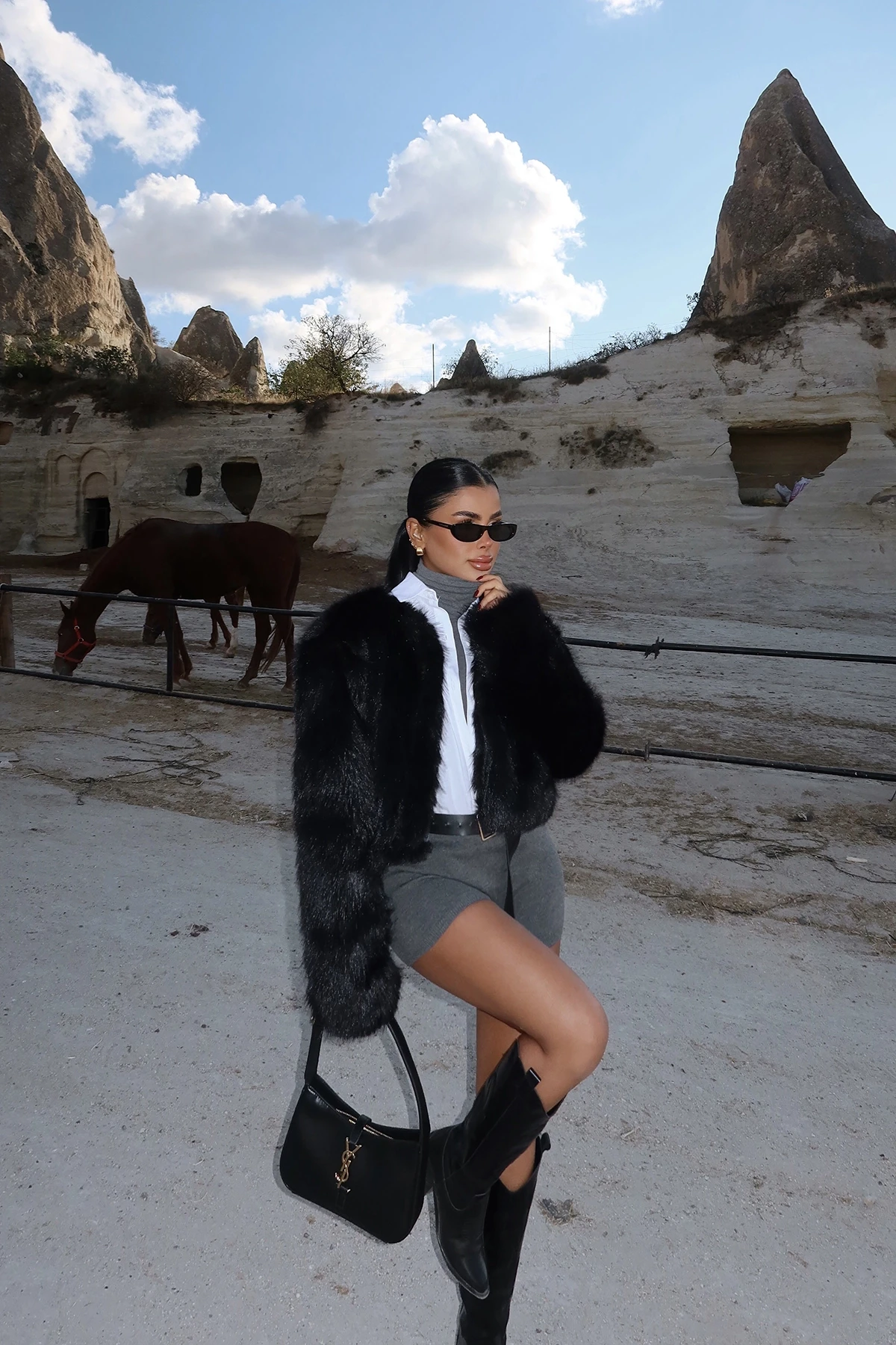 Picture of Black Short Fur