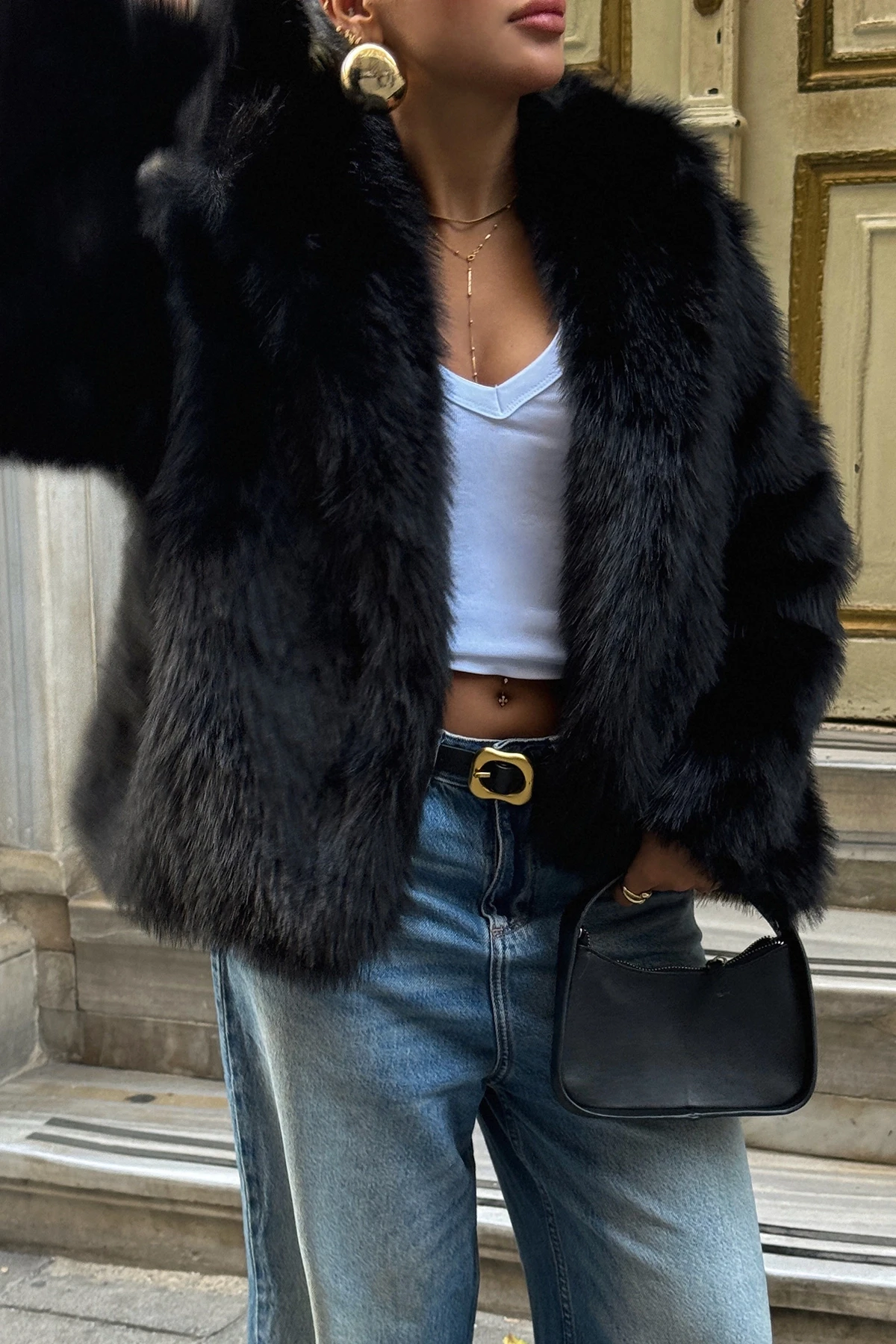 Picture of Black Short Fur