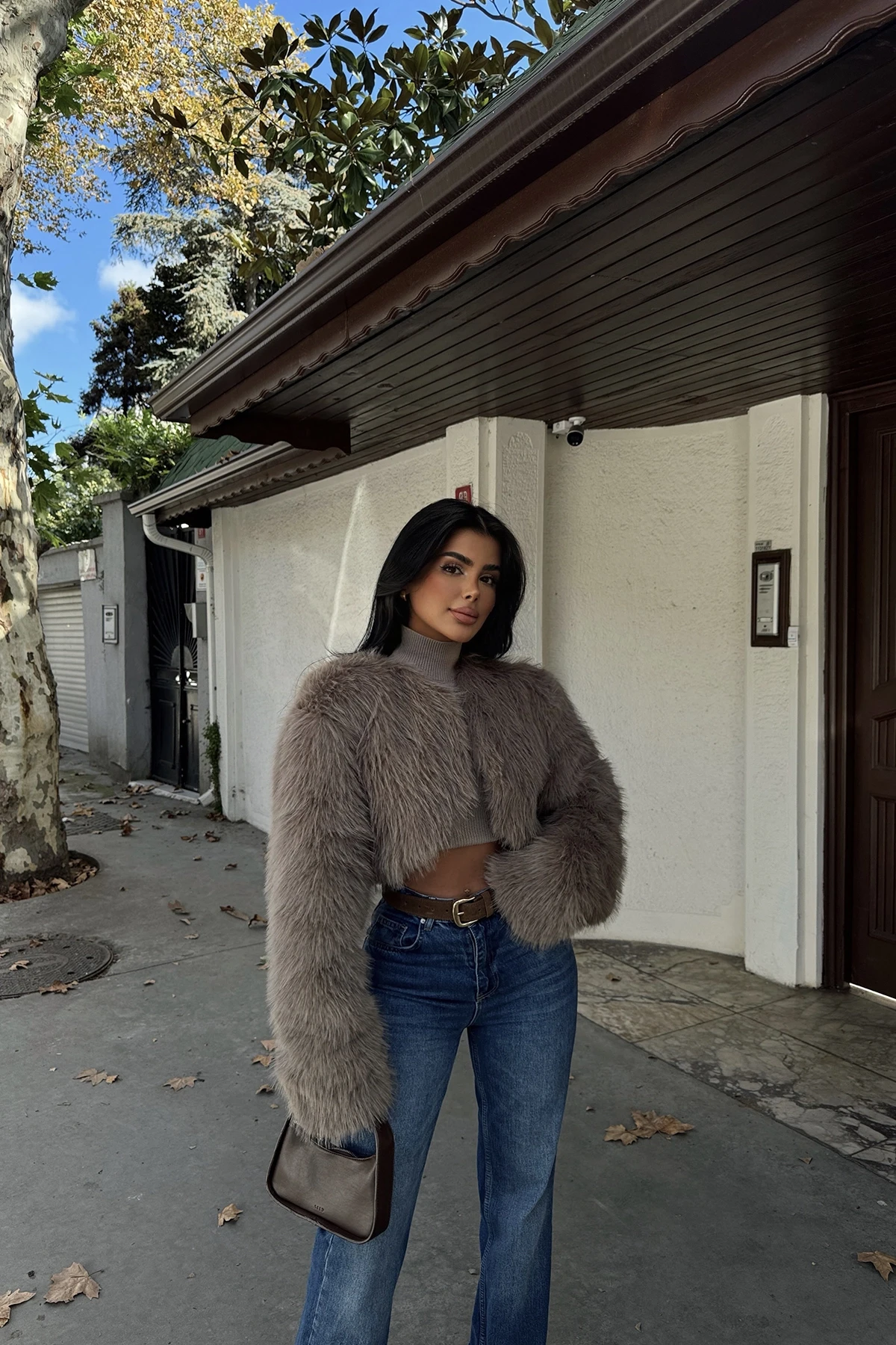 Picture of Mink Short Fur