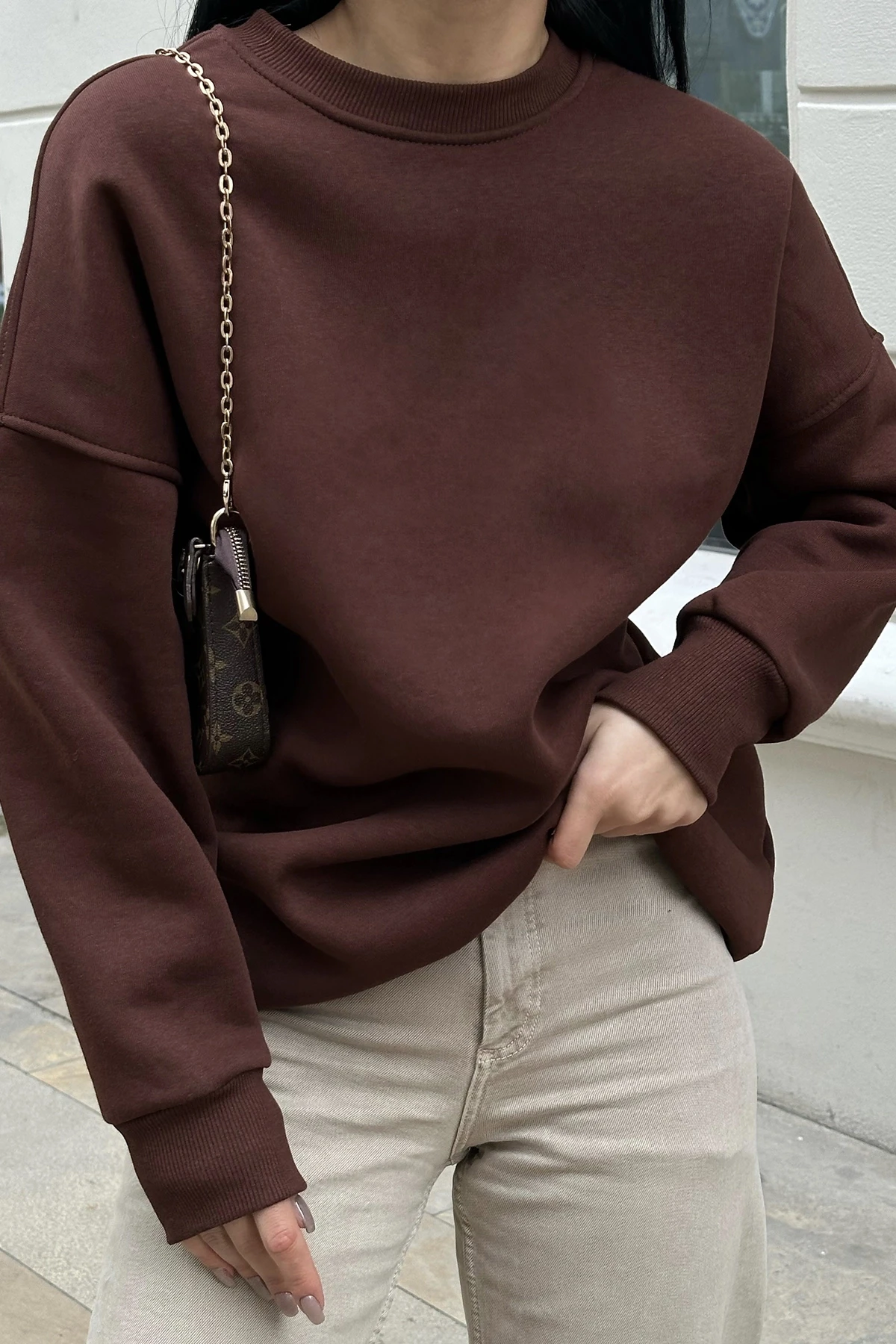 Picture of Brown Oversize Back Printed Sweat