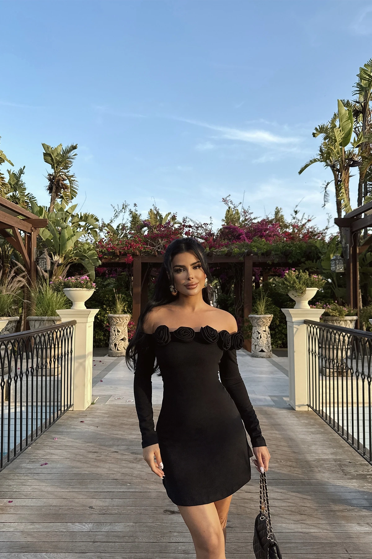 Picture of Black Rose Mini Dress