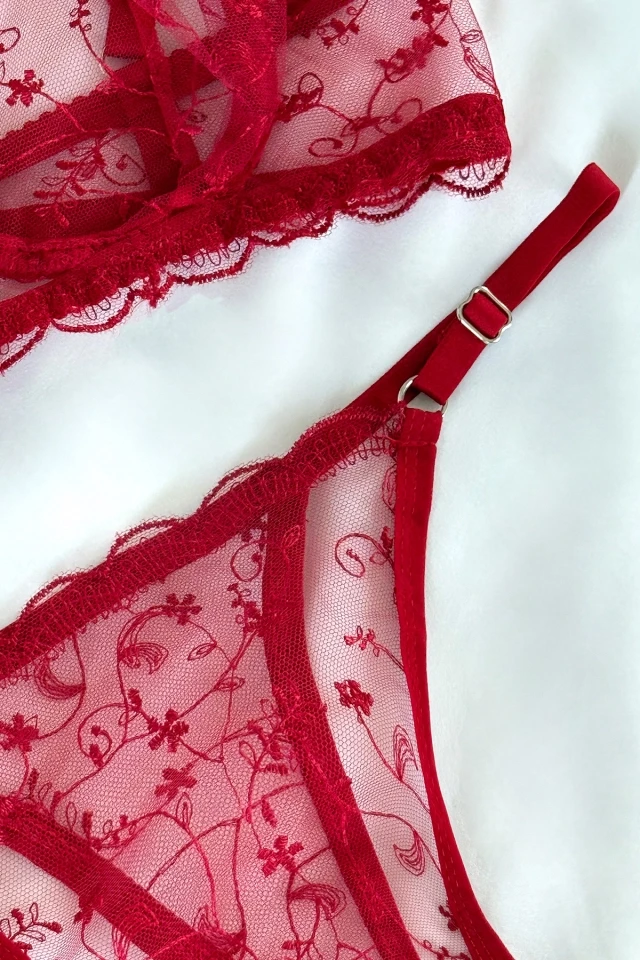 Picture of Red Lace Detail Lingerie