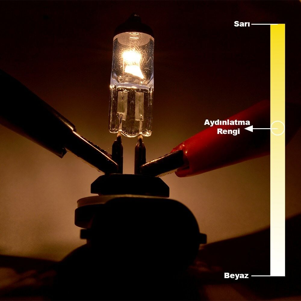 Picture of 12V 27W H27 Standart Far Ampulü H27W/2 881 Pipo L Tip