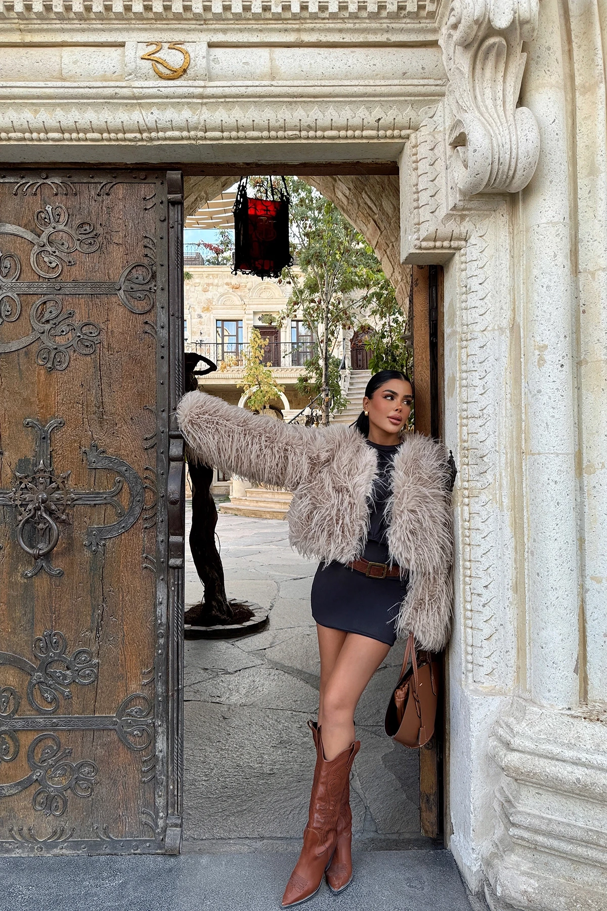 Picture of Beige Short Fur