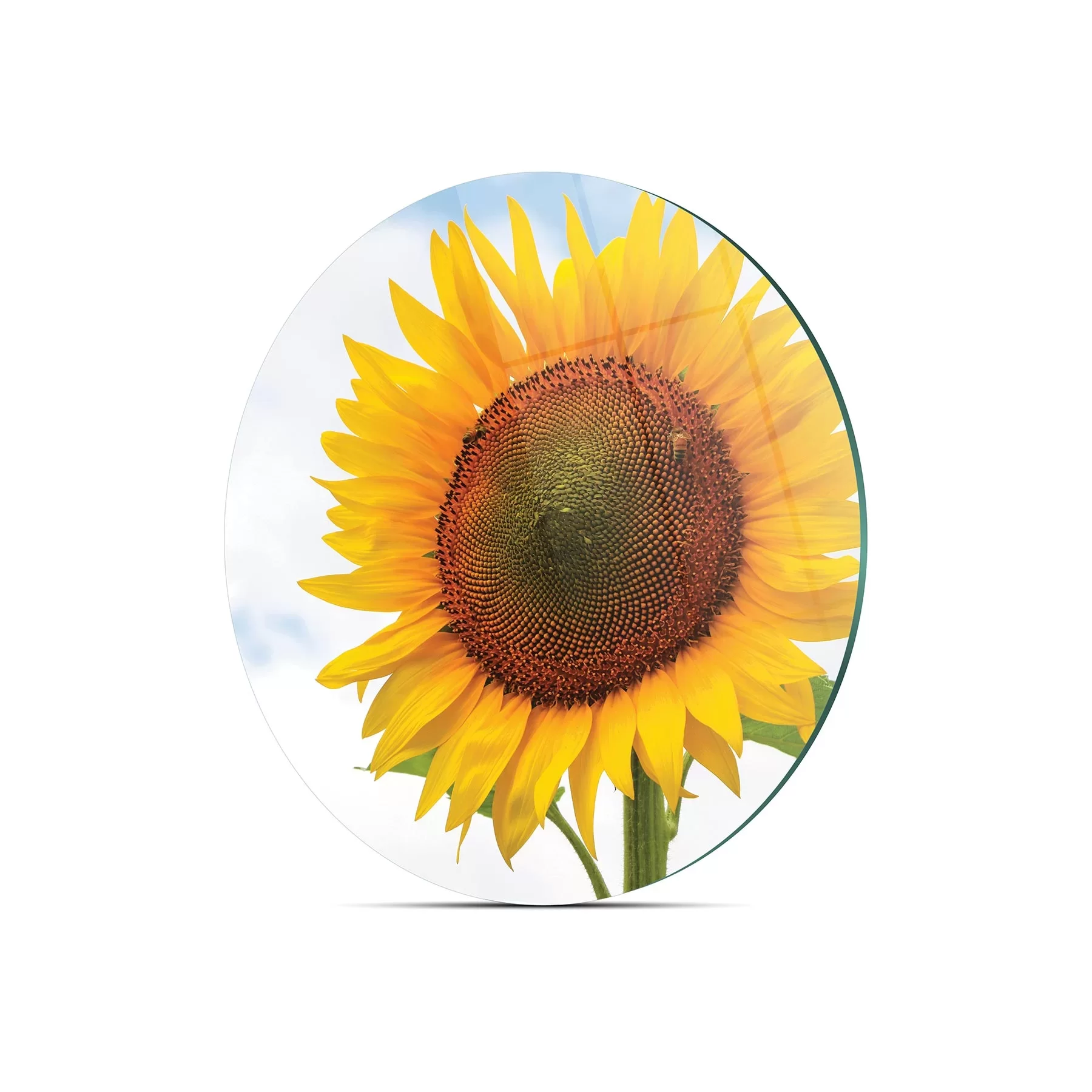 Picture of Decovetro Cam Kesme Tahtası ve Sunumluk Yuvarlak Ayçiçeği Desenli 30x30 Cm