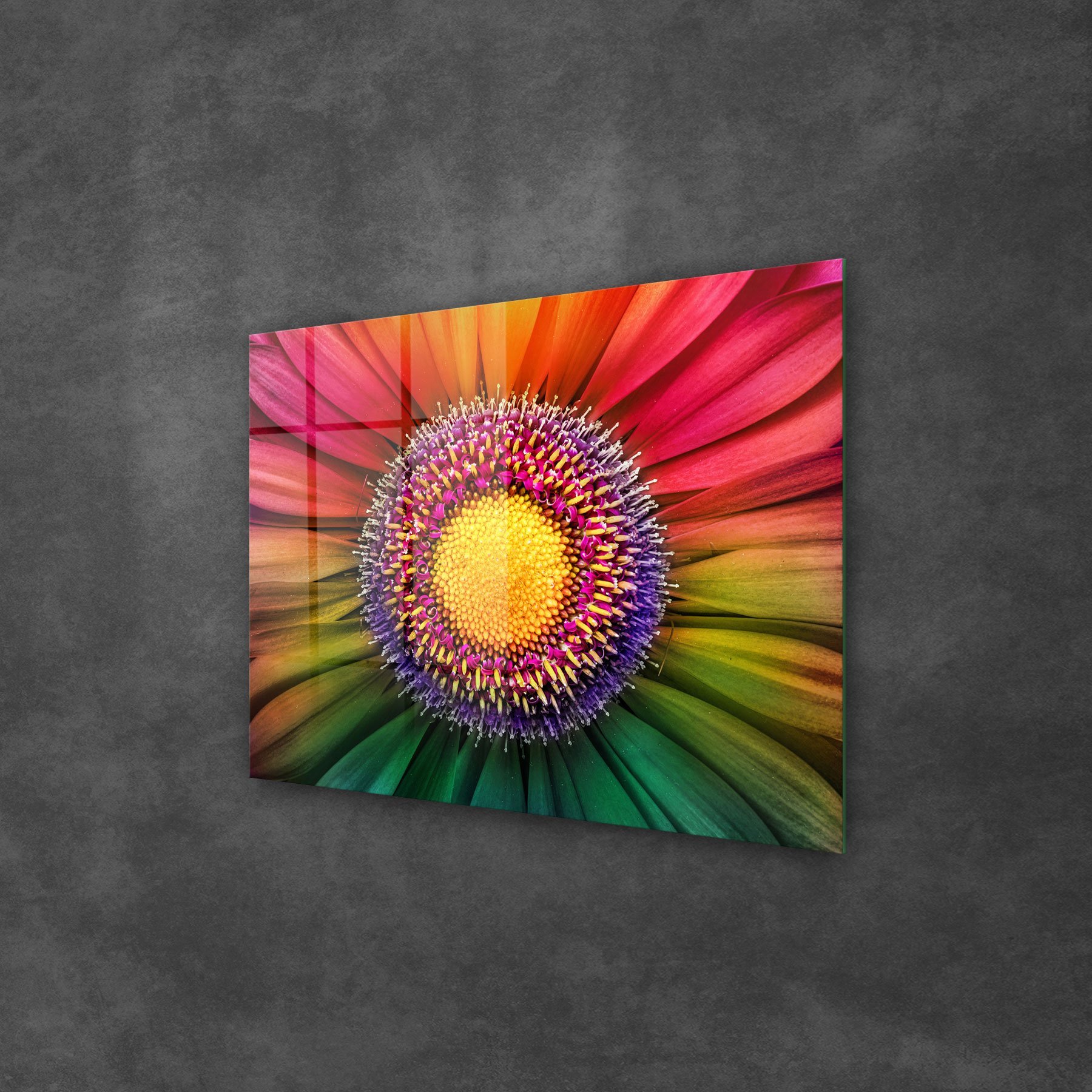 Picture of Decovetro Cam Tablo Gökkuşağı Papatya 50x70 cm