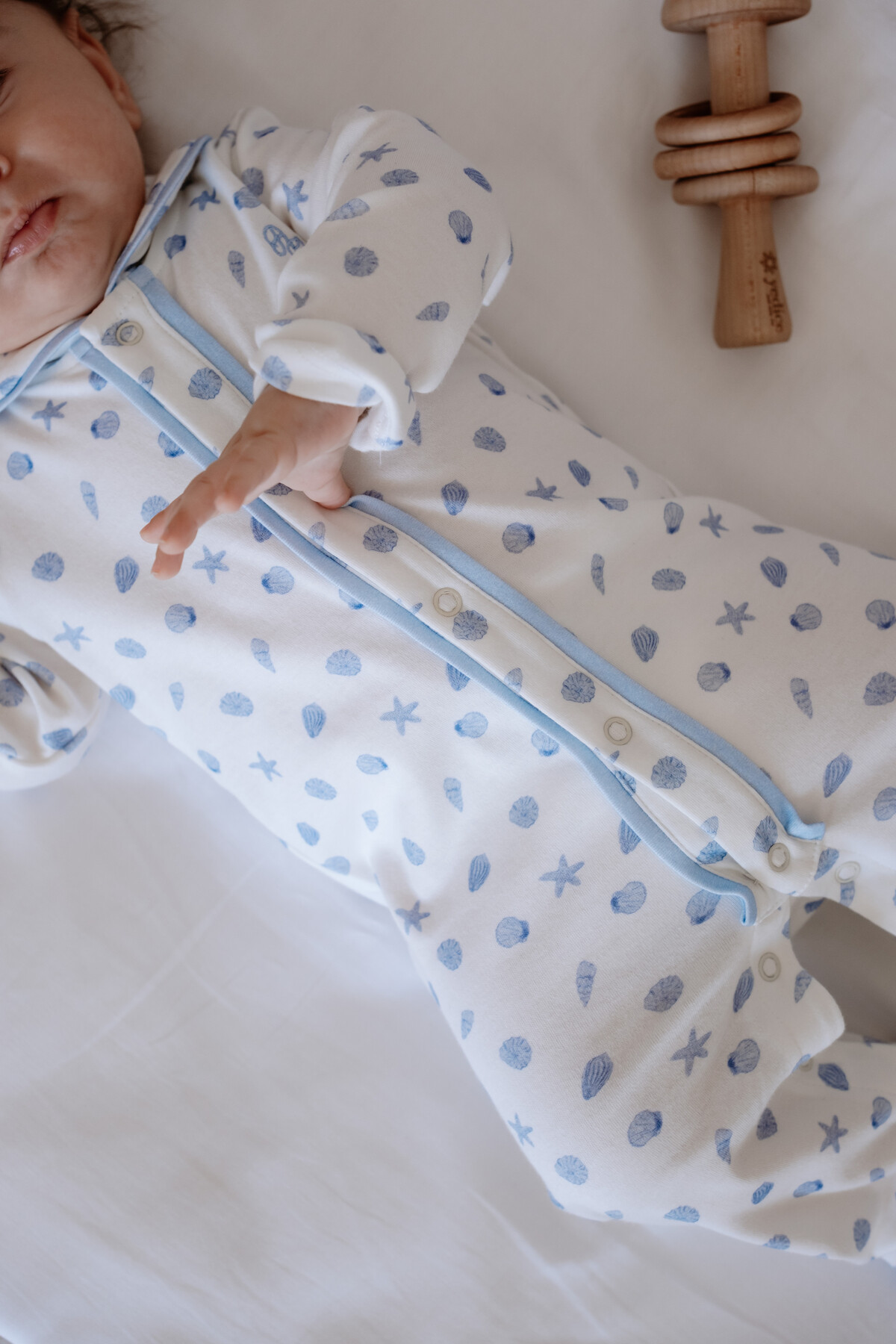 Picture of Bebek Tulum - Deniz Kabukları