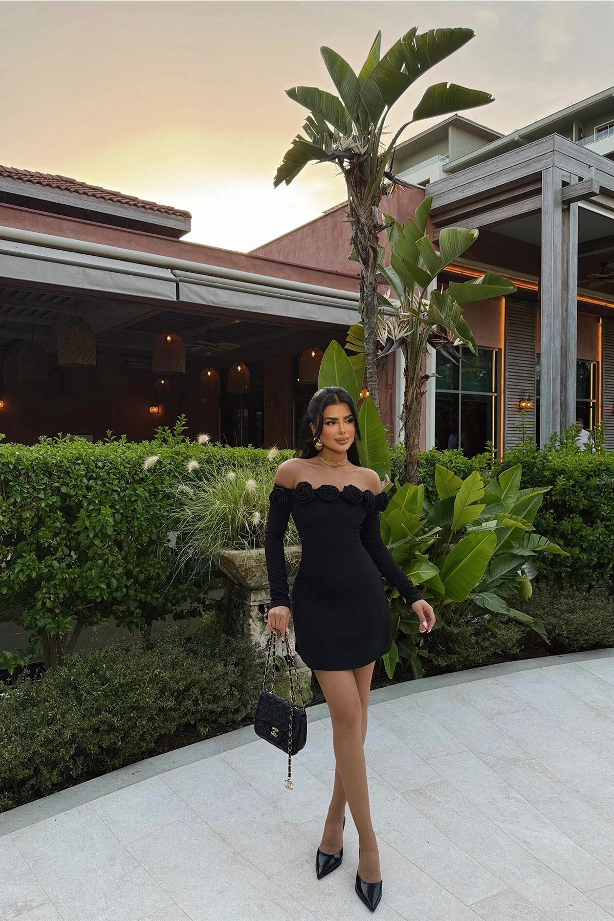 Picture of Black Rose Mini Dress