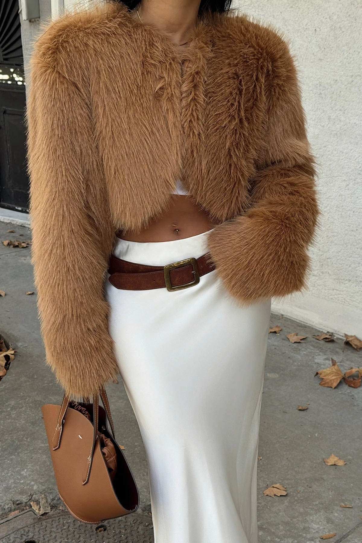 Picture of Tan Short Fur