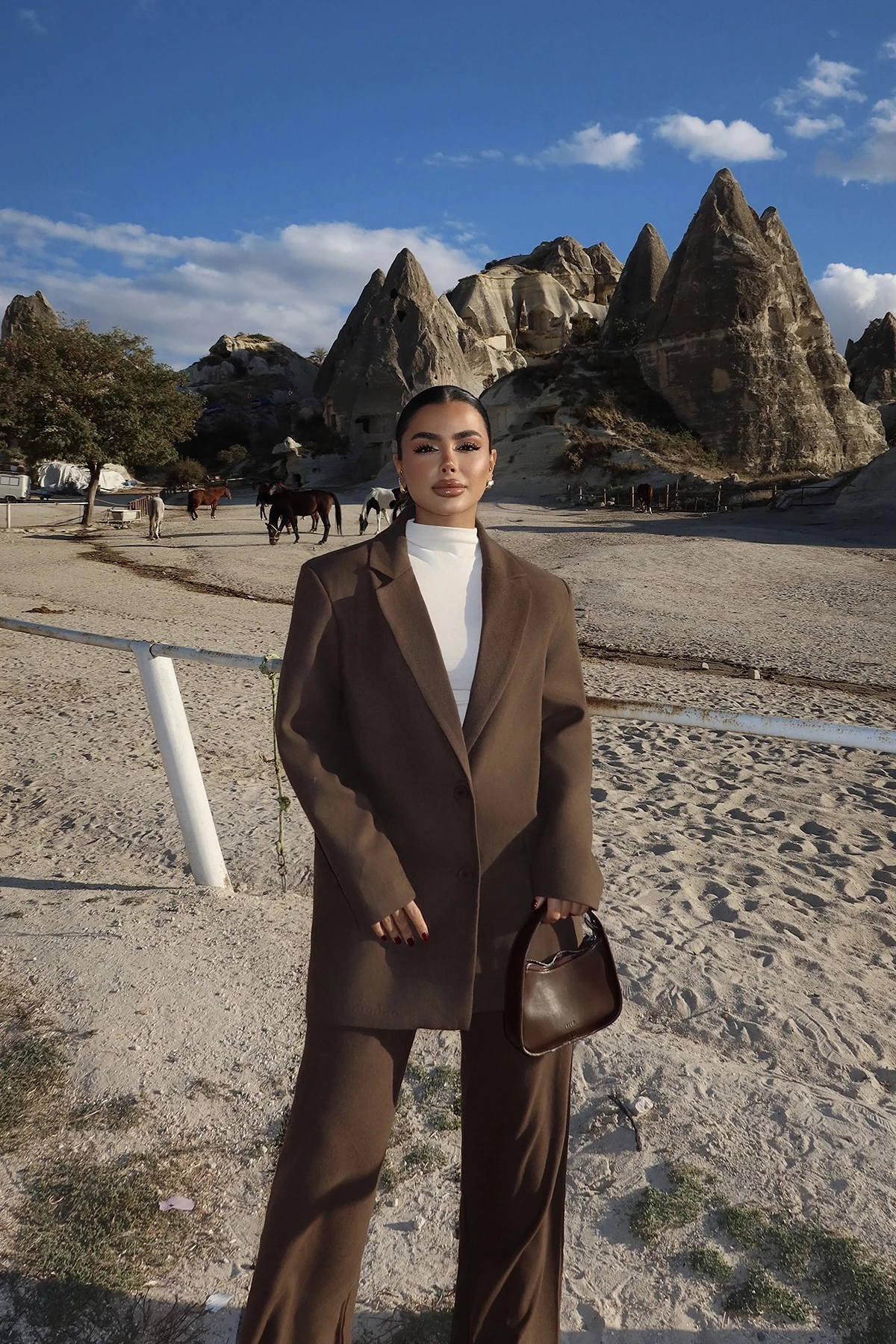 Picture of Brown Harper Suit