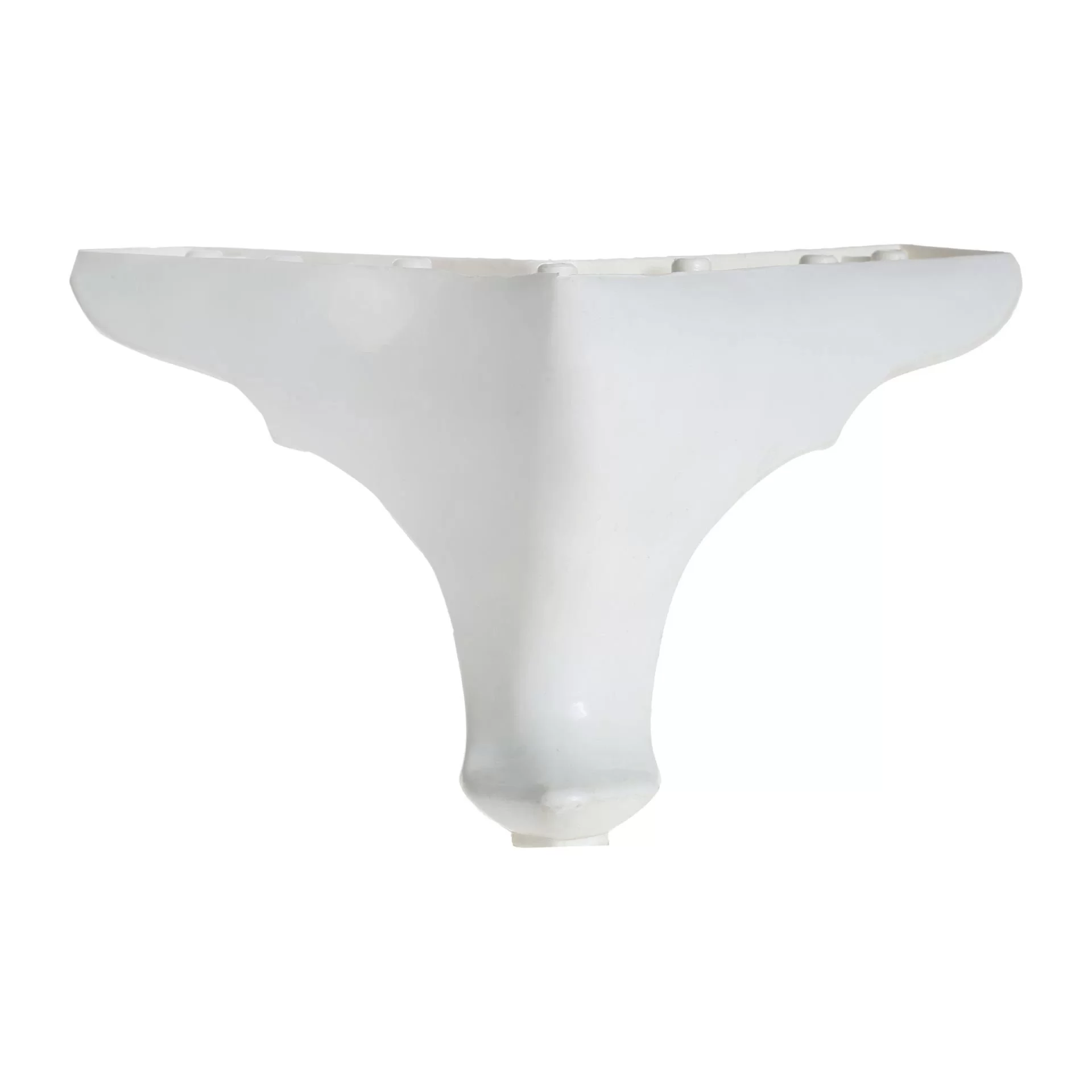 Picture of OKALİPTUS