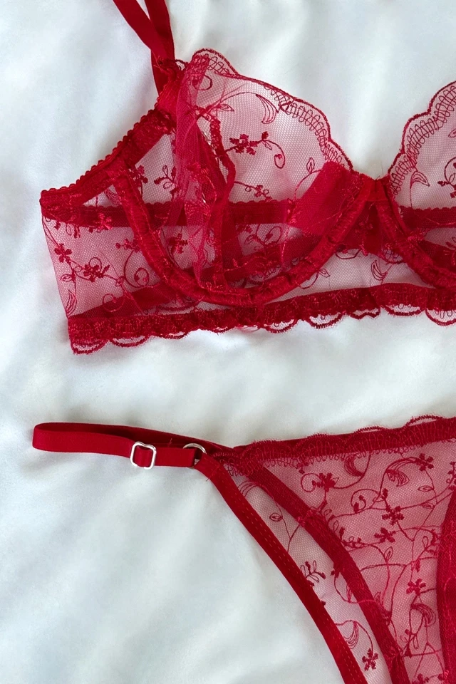 Picture of Red Lace Detail Lingerie