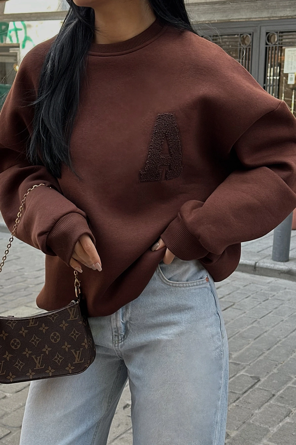 Picture of Brown A Embroidered Sweat
