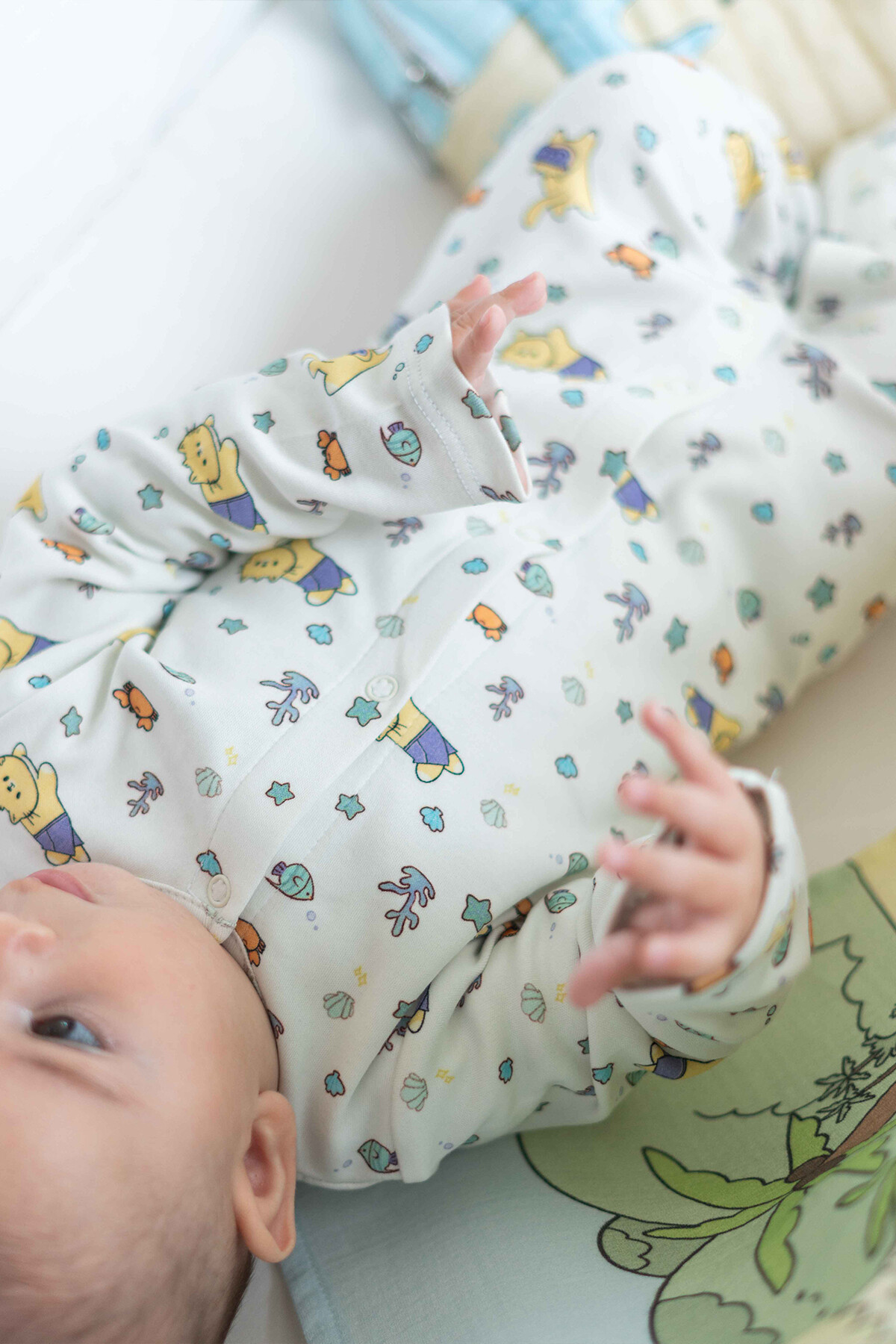 Picture of Bebek Tulum - Sahil