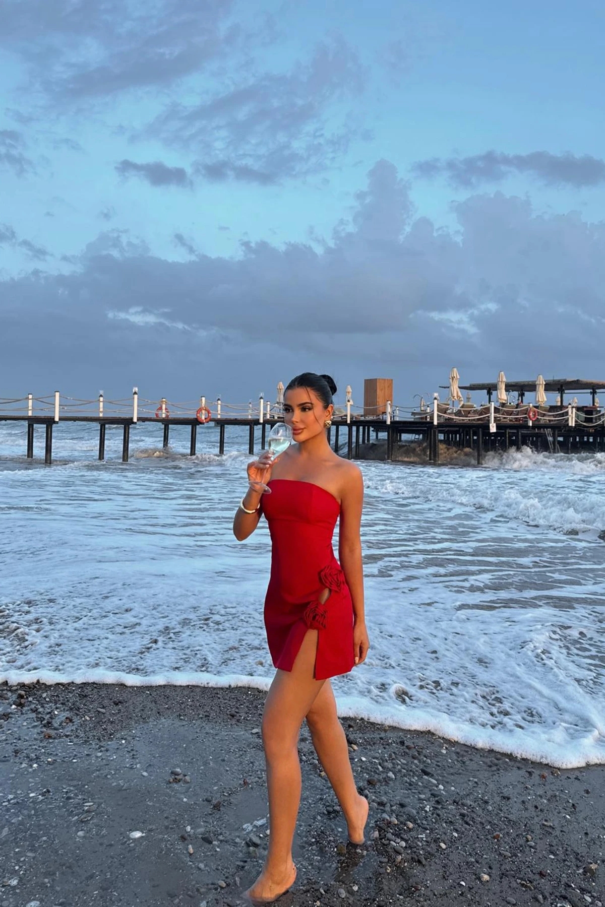 Picture of Red Rose Detail Mini Dress