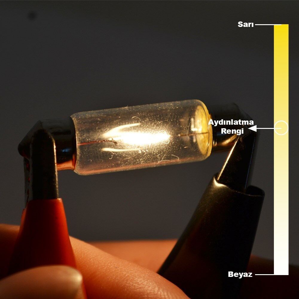 Picture of 10 Adet 12V 10W Sofit Ampul 39mmx10mm
