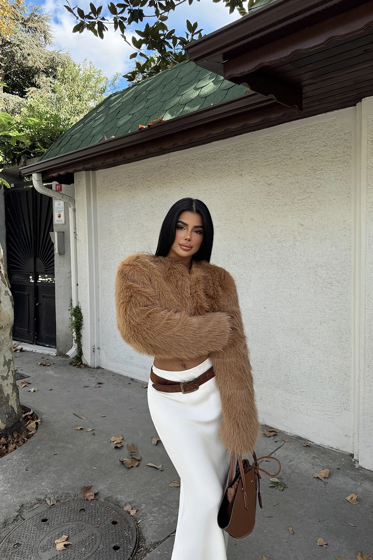 Picture of Tan Short Fur