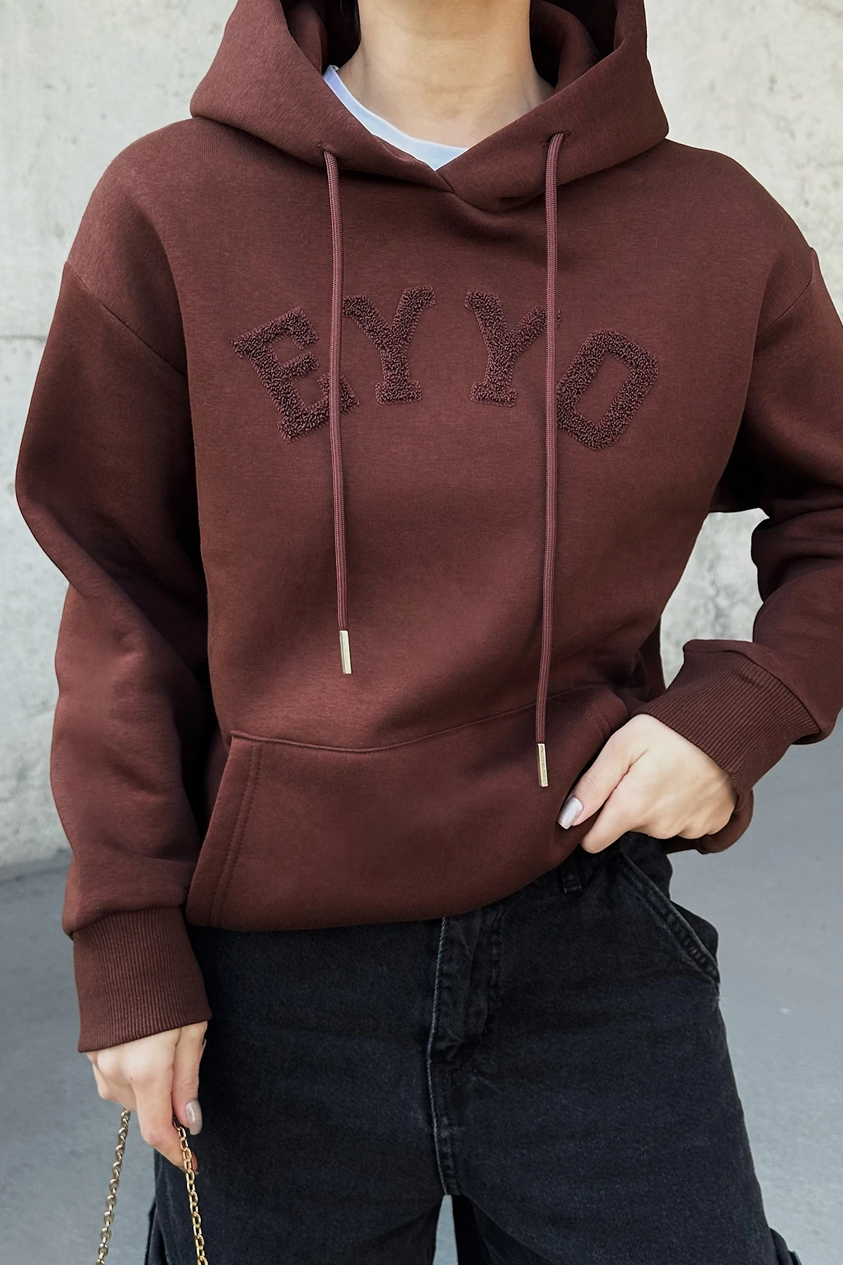 Picture of Brown Eyyo Embroidered Hooded Sweat