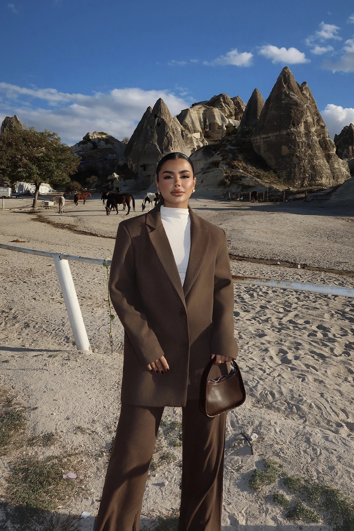 Picture of Brown Harper Suit